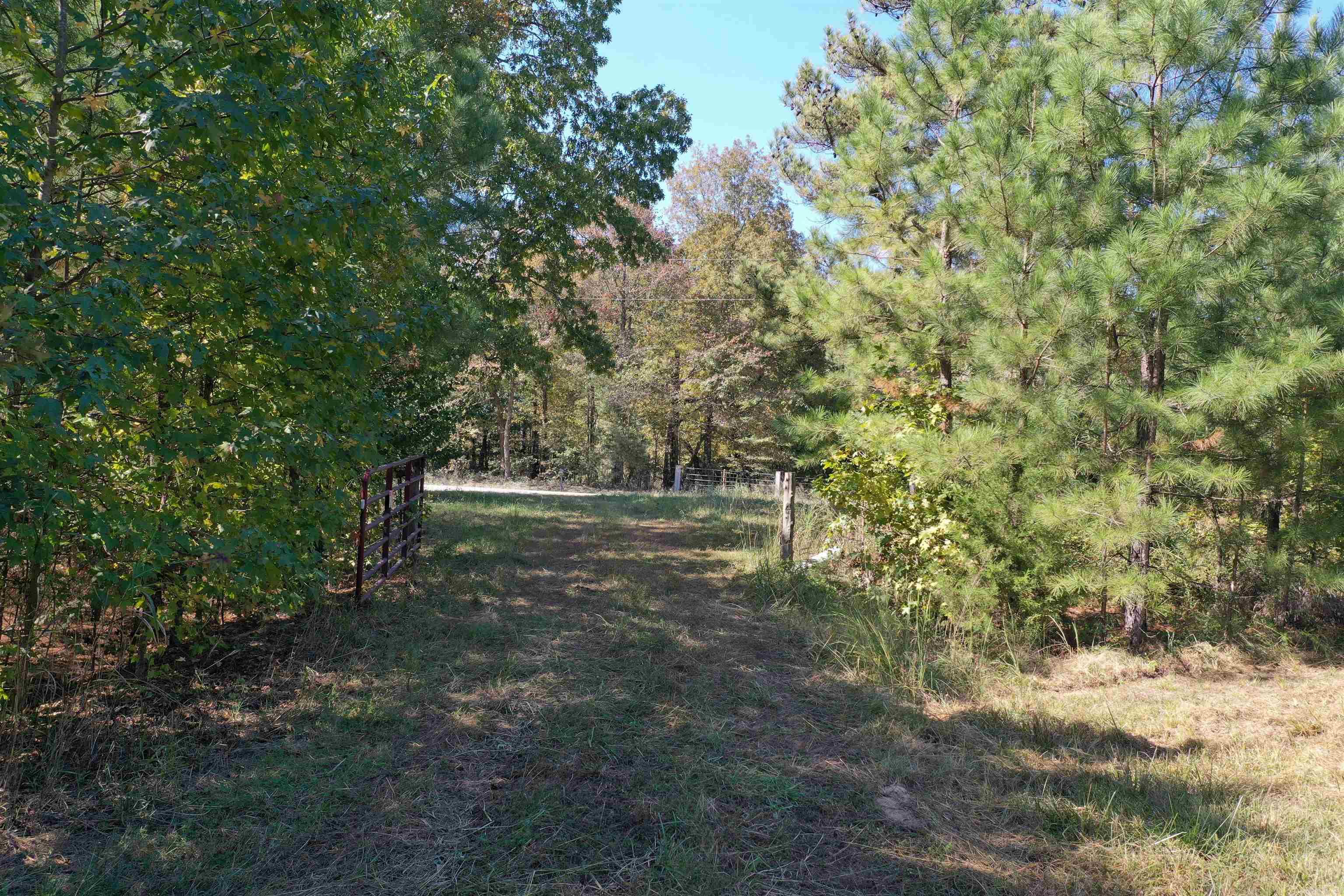0000  Armstrong  Pangburn, AR