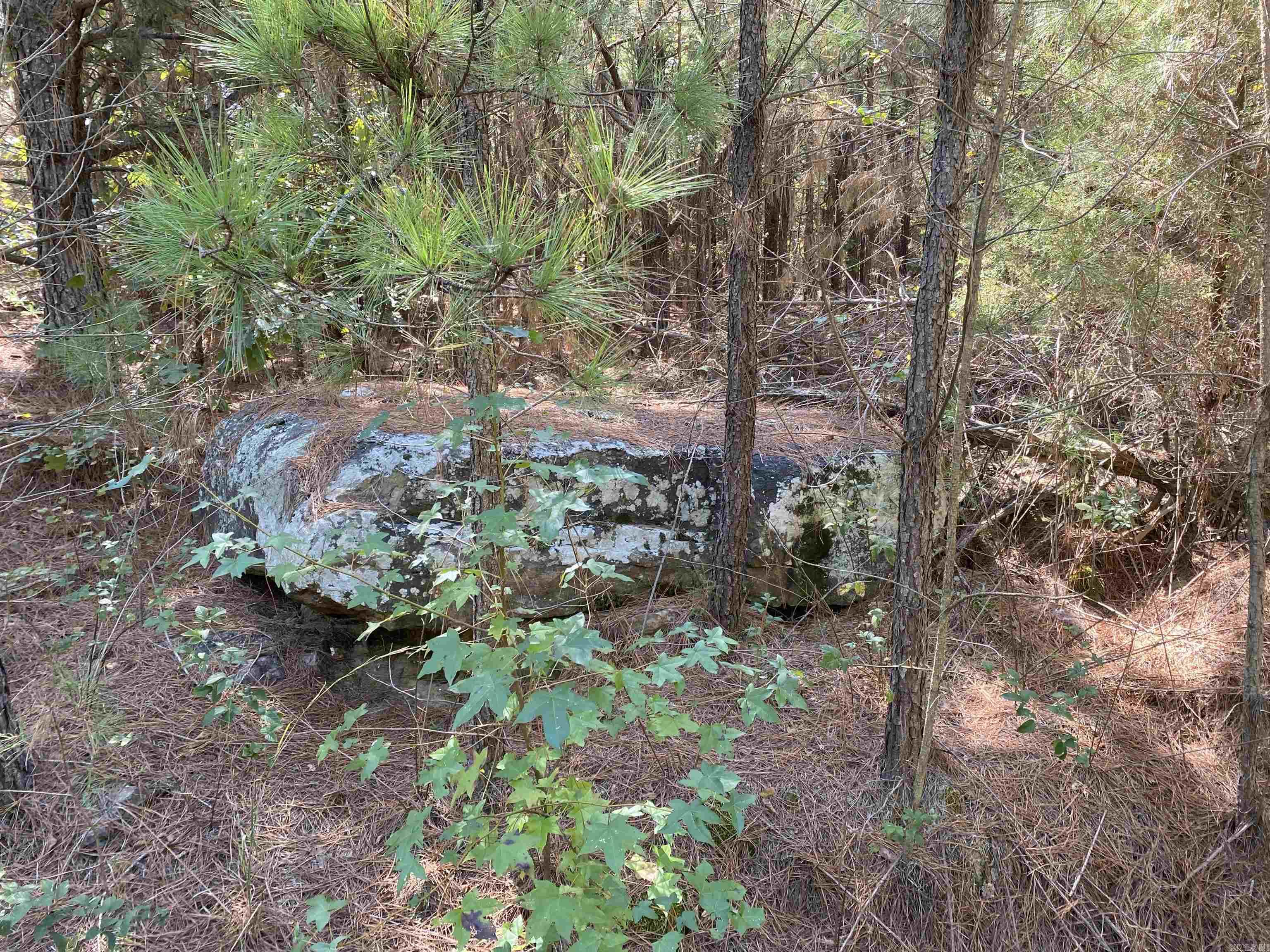 0000  Armstrong  Pangburn, AR