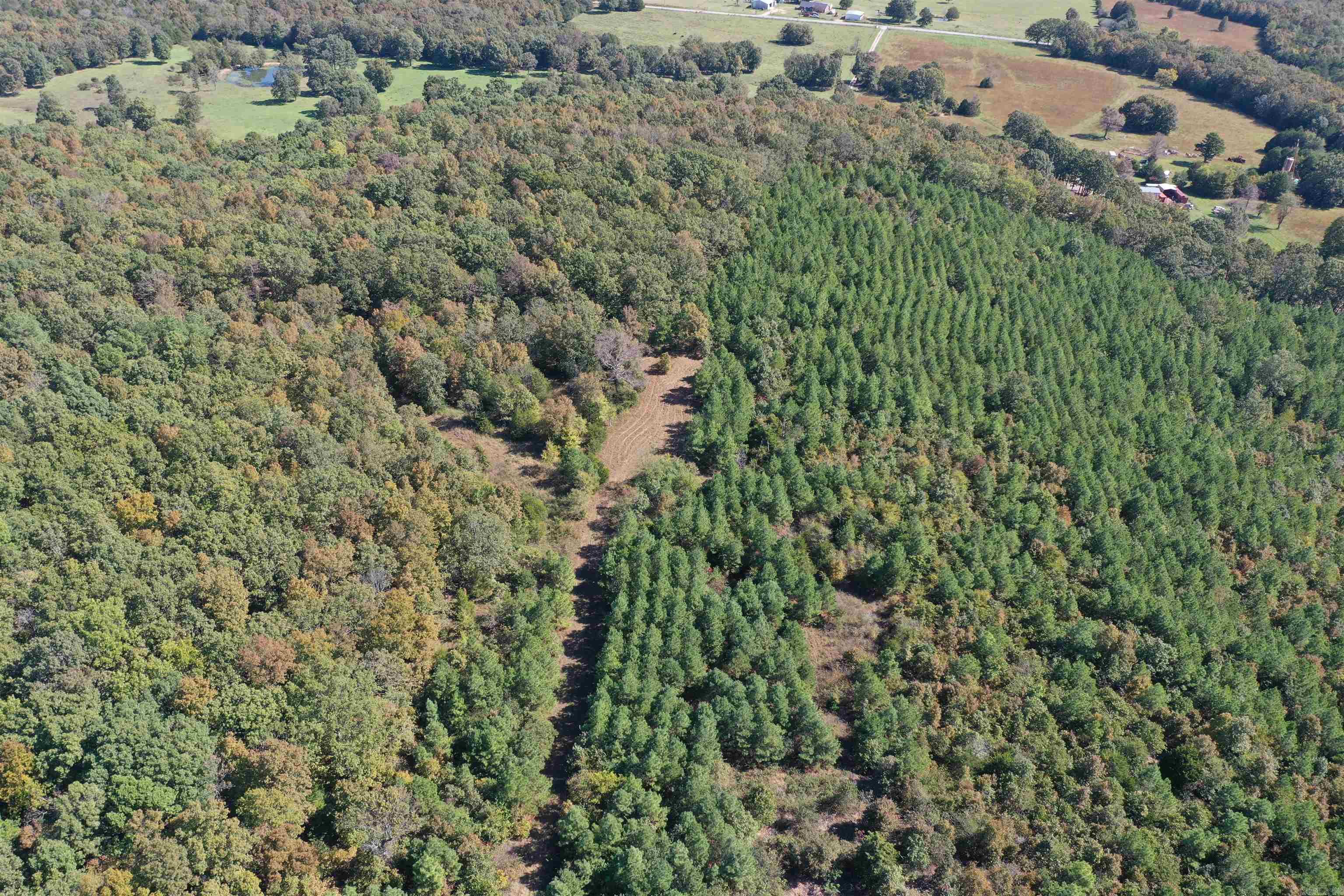 0000  Armstrong  Pangburn, AR