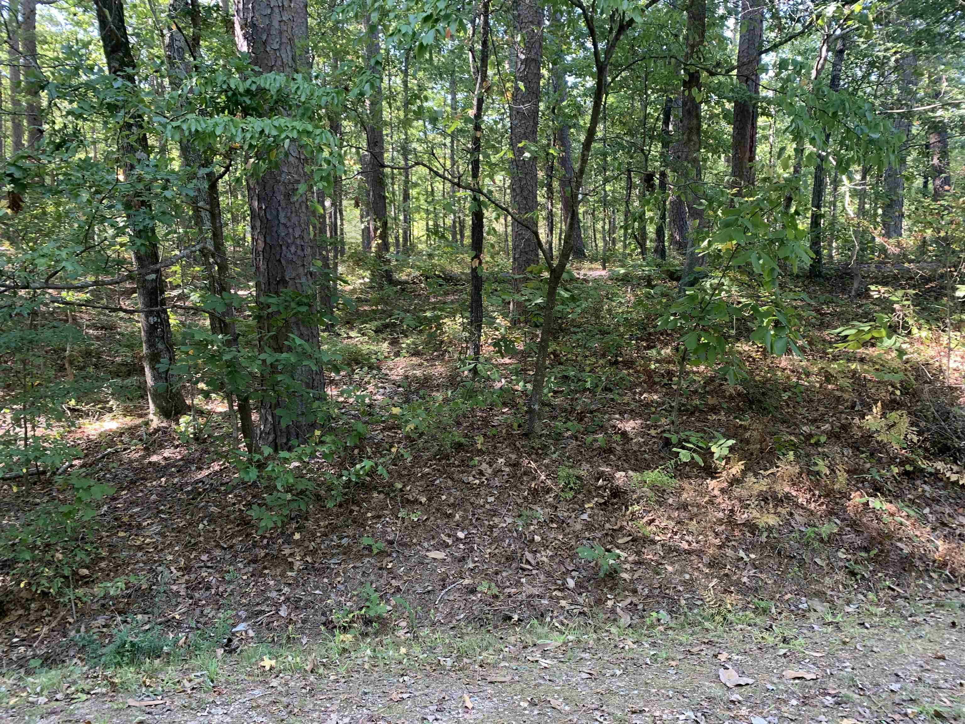 16  Guindola  Hot Springs Village, AR