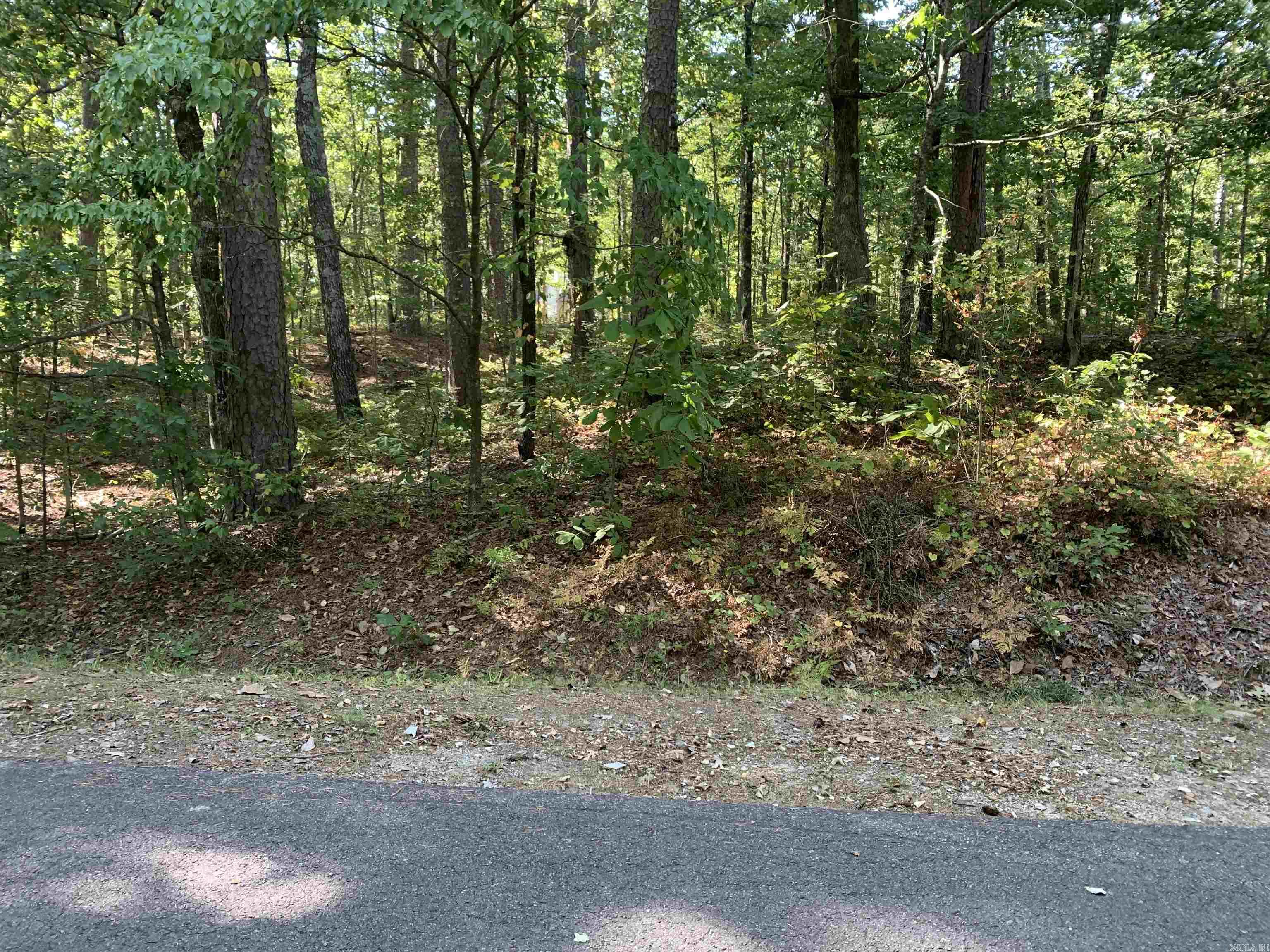 16  Guindola  Hot Springs Village, AR