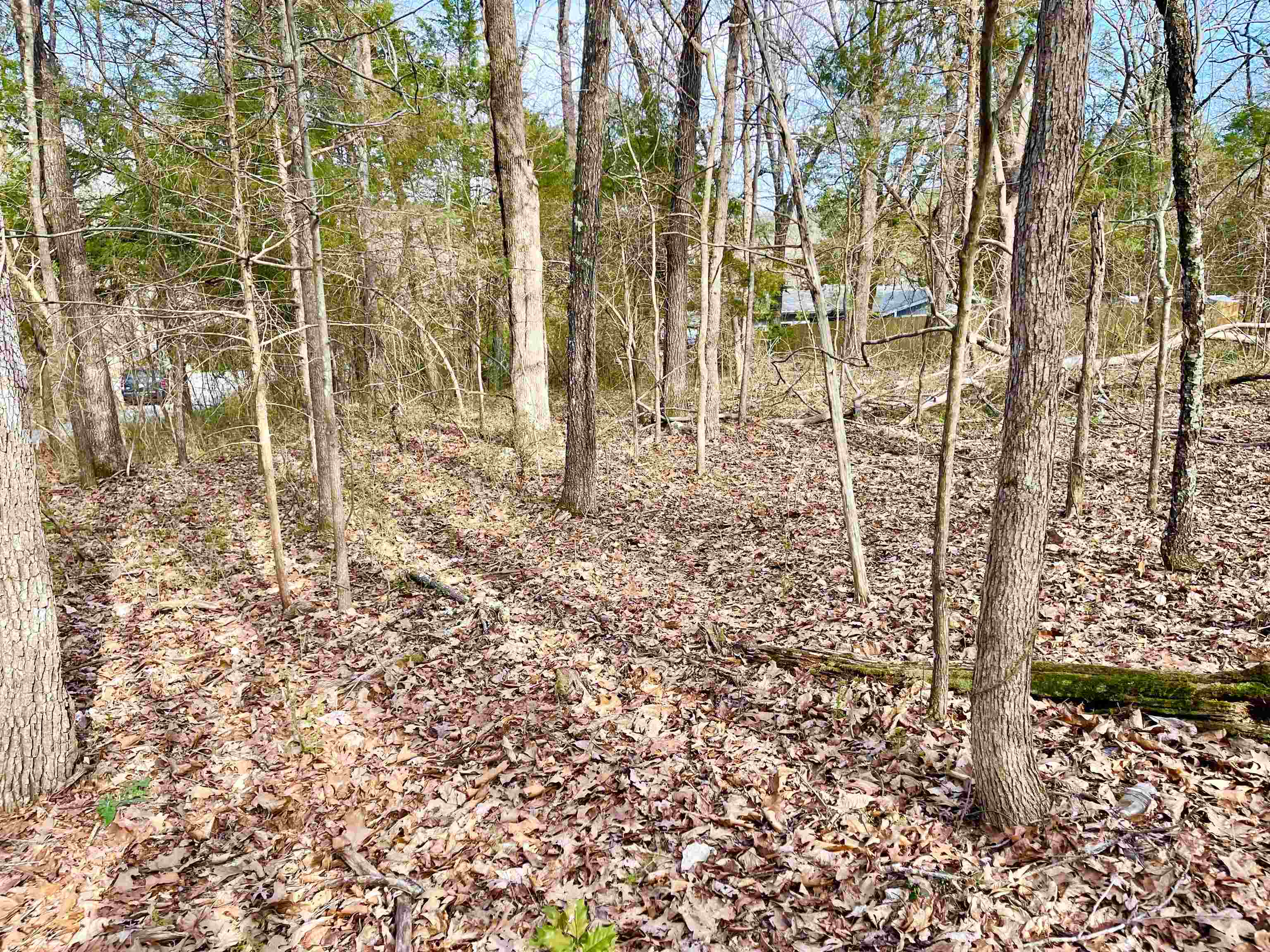 0  Nokomis and Coweta  Cherokee Village, AR
