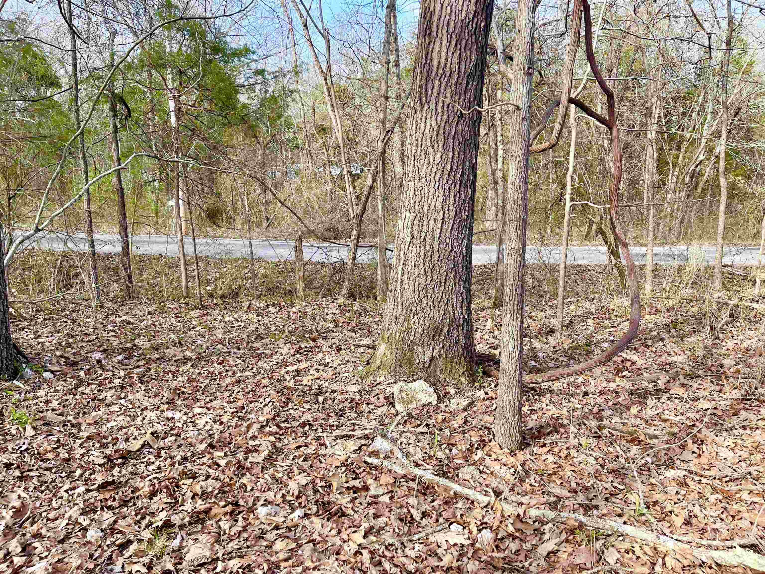 0  Nokomis and Coweta  Cherokee Village, AR