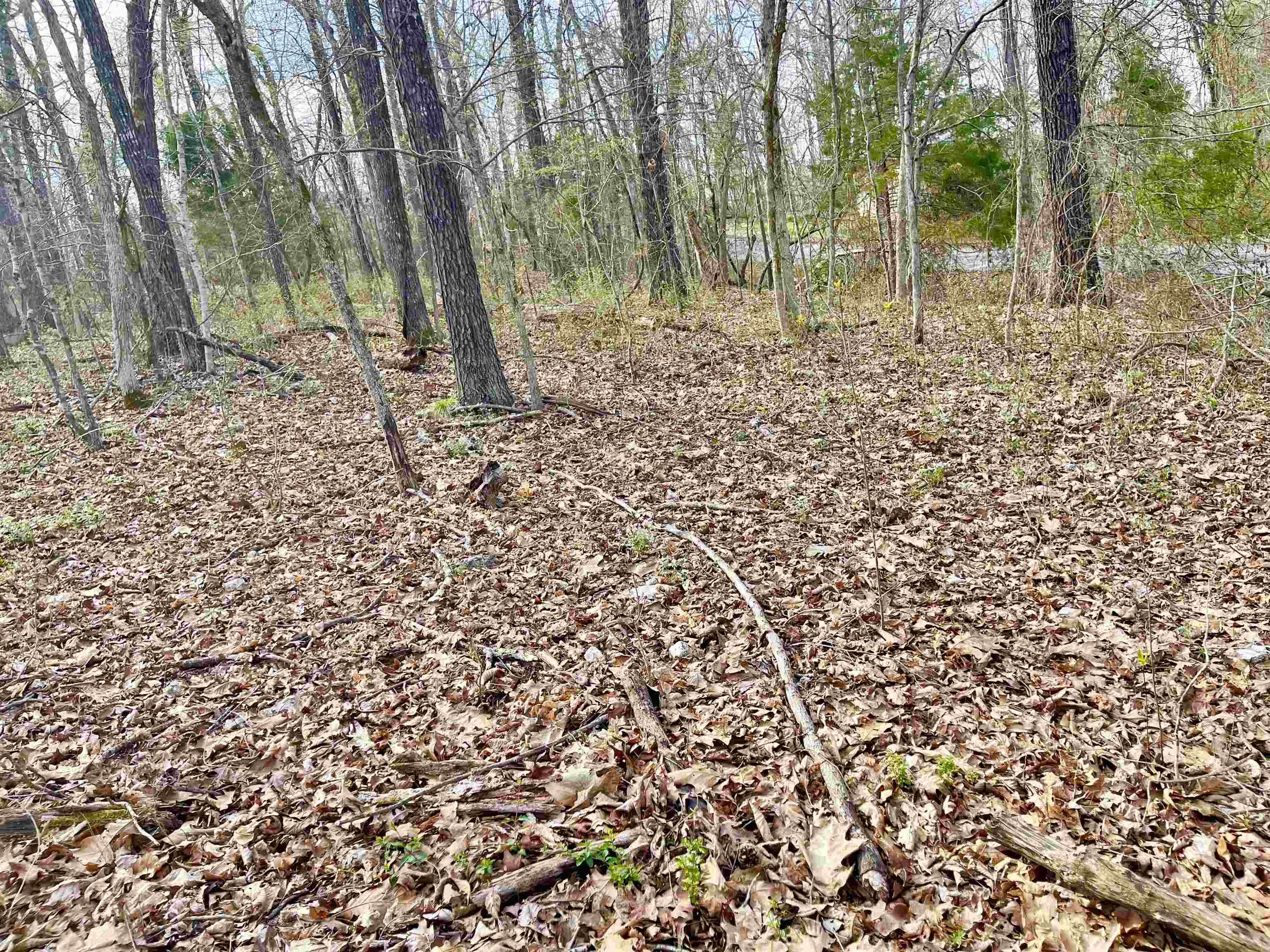 0  Nokomis and Coweta  Cherokee Village, AR