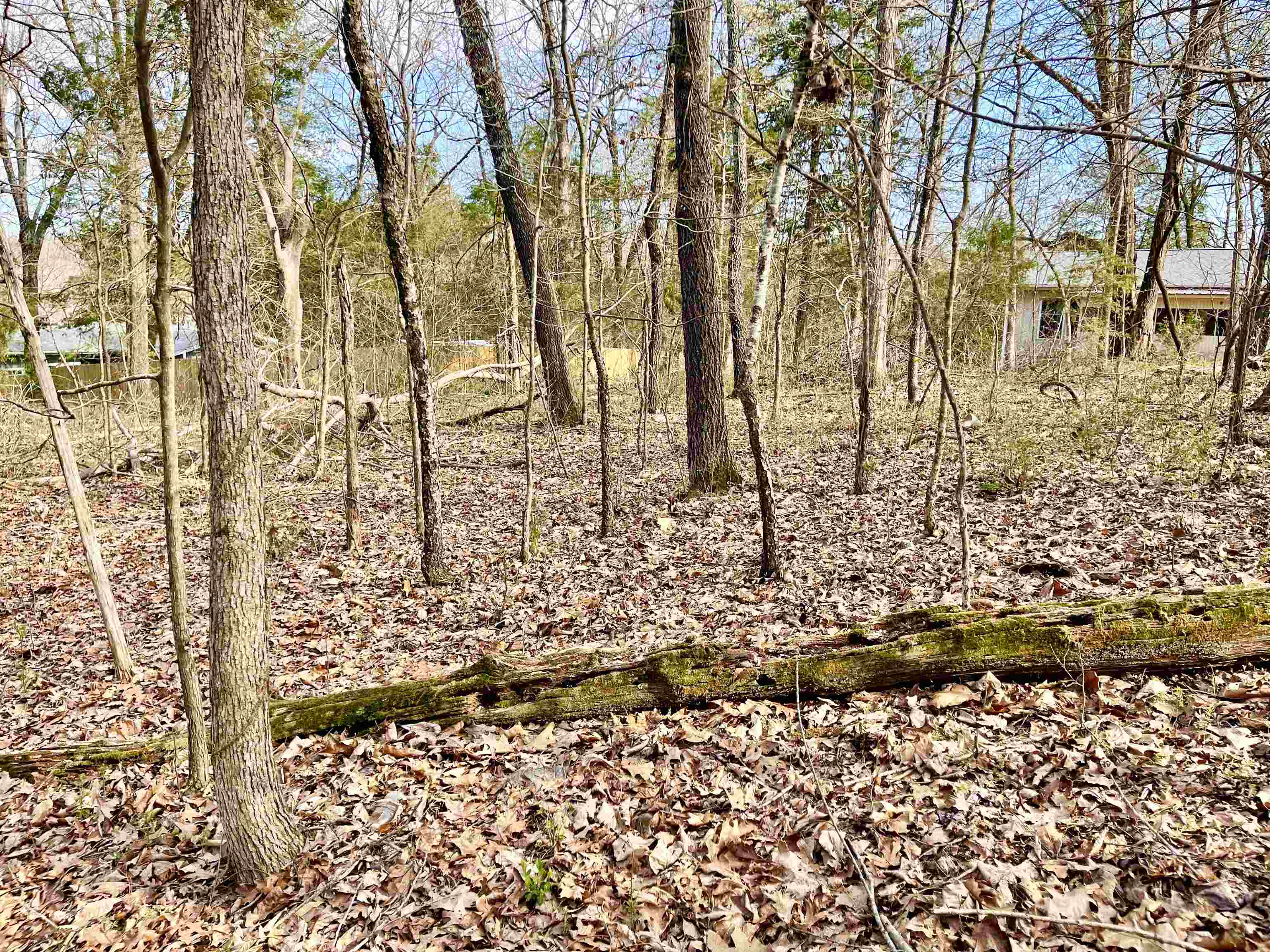 0  Nokomis and Coweta  Cherokee Village, AR