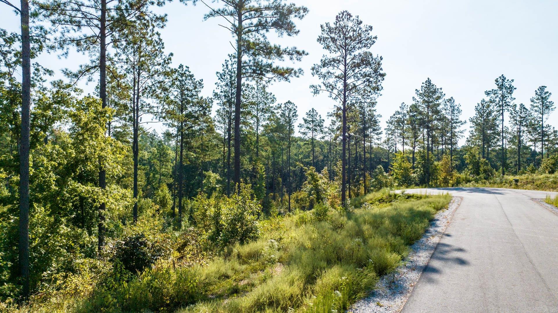 2008  Canyon Creek  Benton, AR