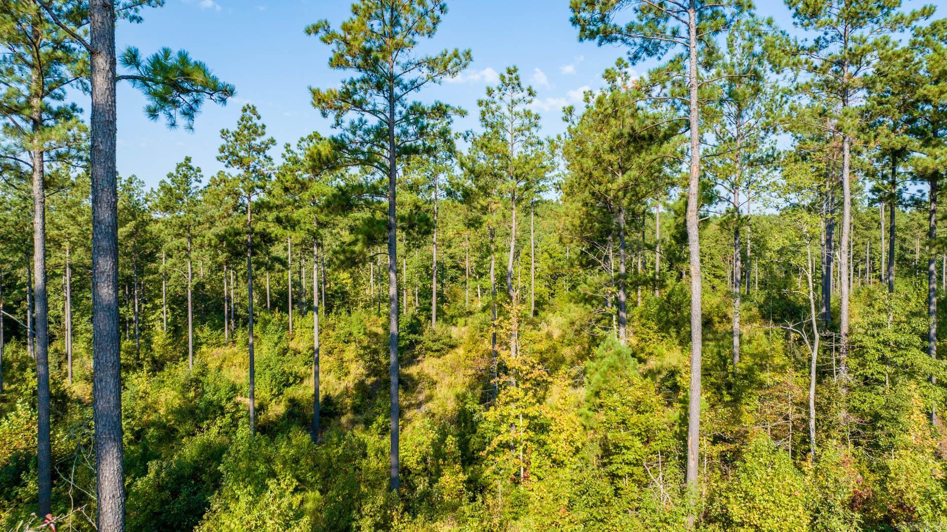2008  Canyon Creek  Benton, AR