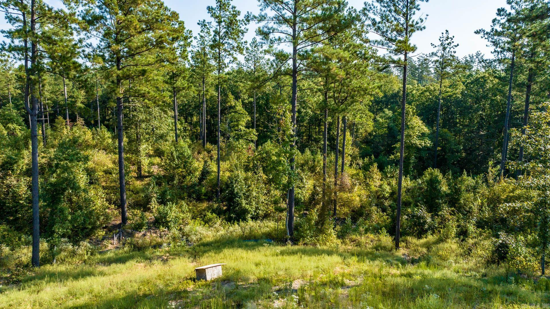 2008  Canyon Creek  Benton, AR