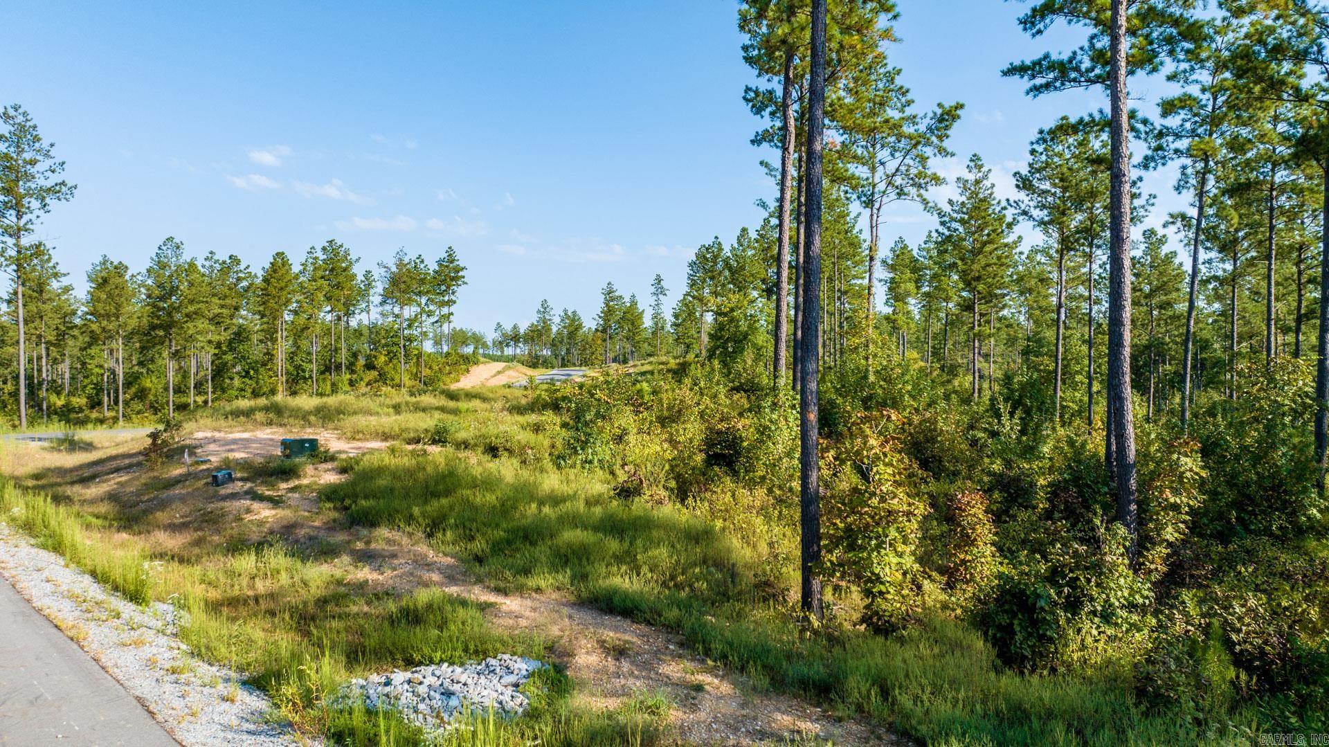 2057  Canyon Creek  Benton, AR