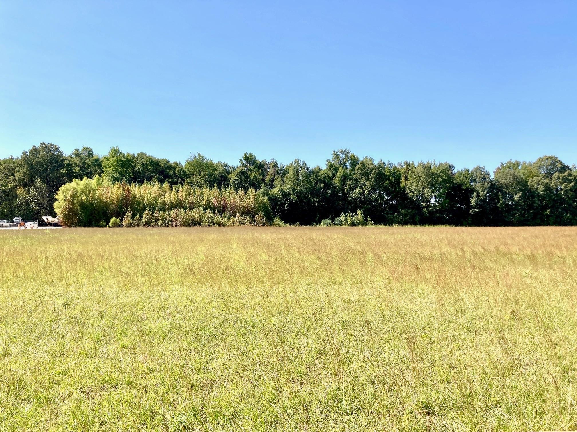 8261  U. S. 49  Brookland, AR