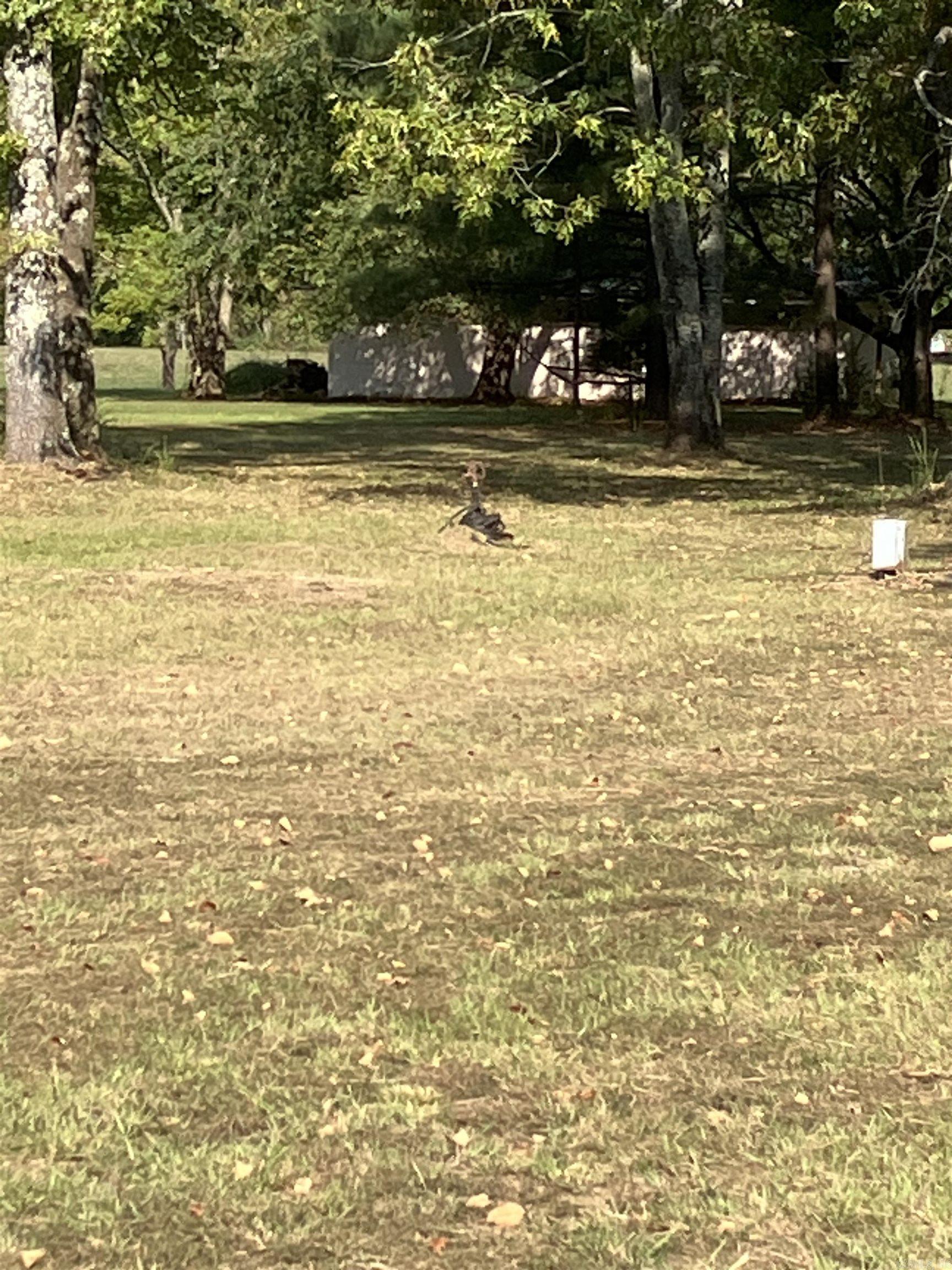 74 LAKE ICE Road Higden, AR 72067