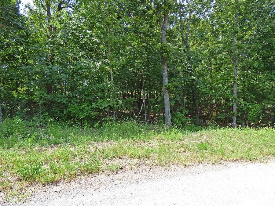   Katsina  Cherokee Village, AR