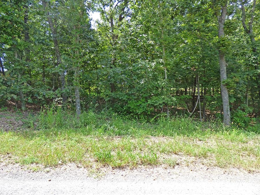   Katsina  Cherokee Village, AR