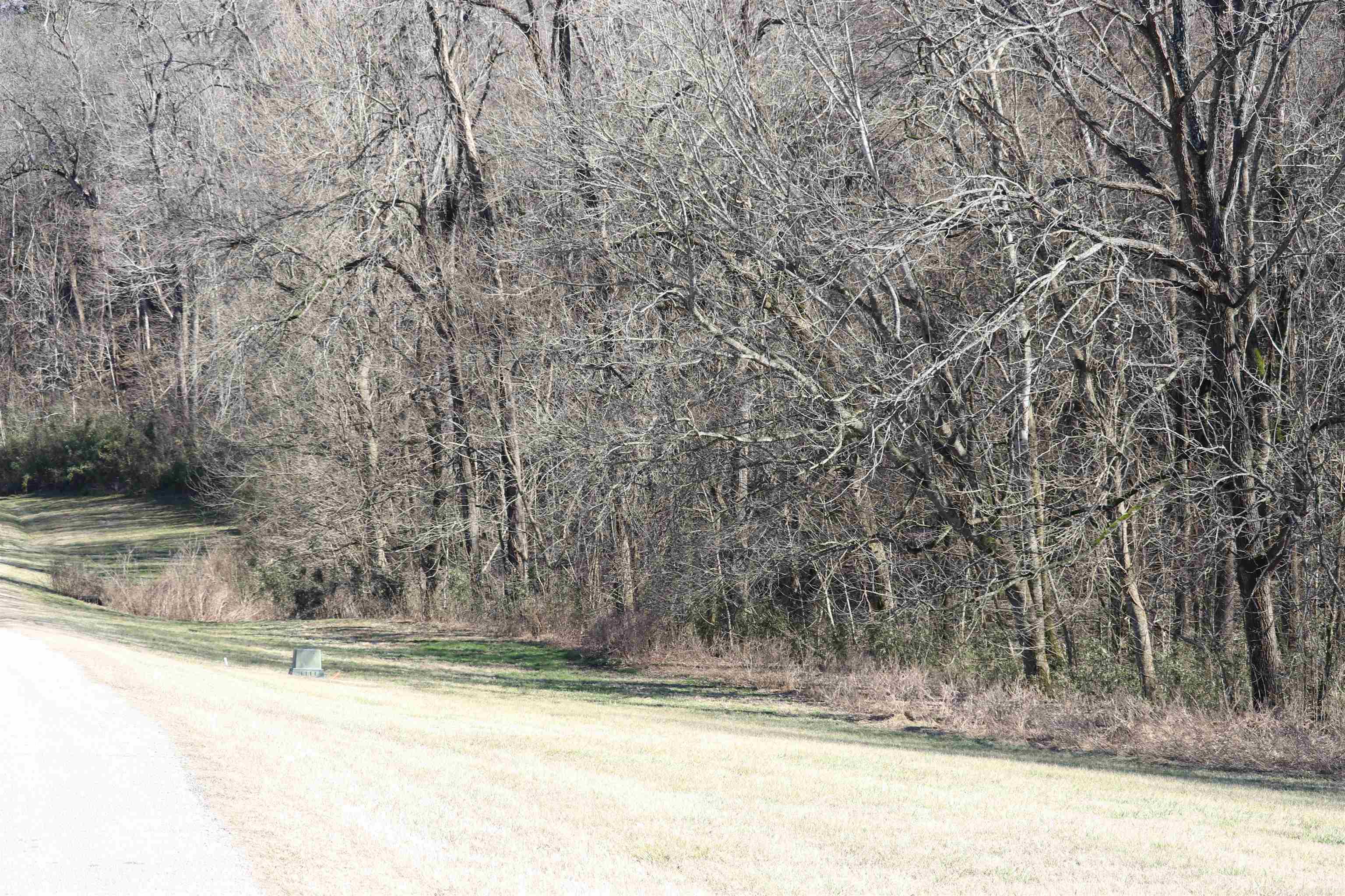 Lot 108  Cane Island  Flippin, AR
