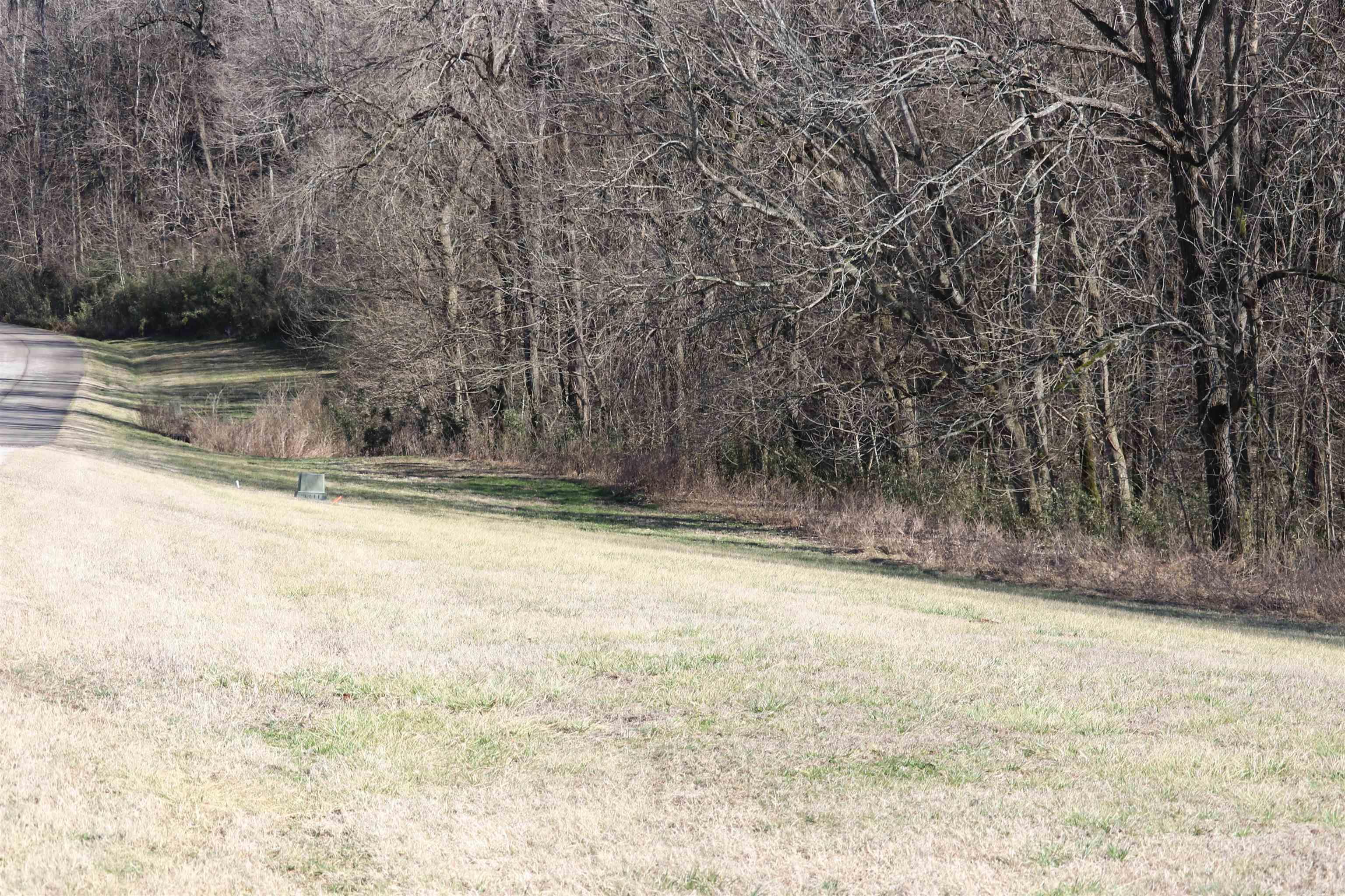 Lot 108  Cane Island  Flippin, AR