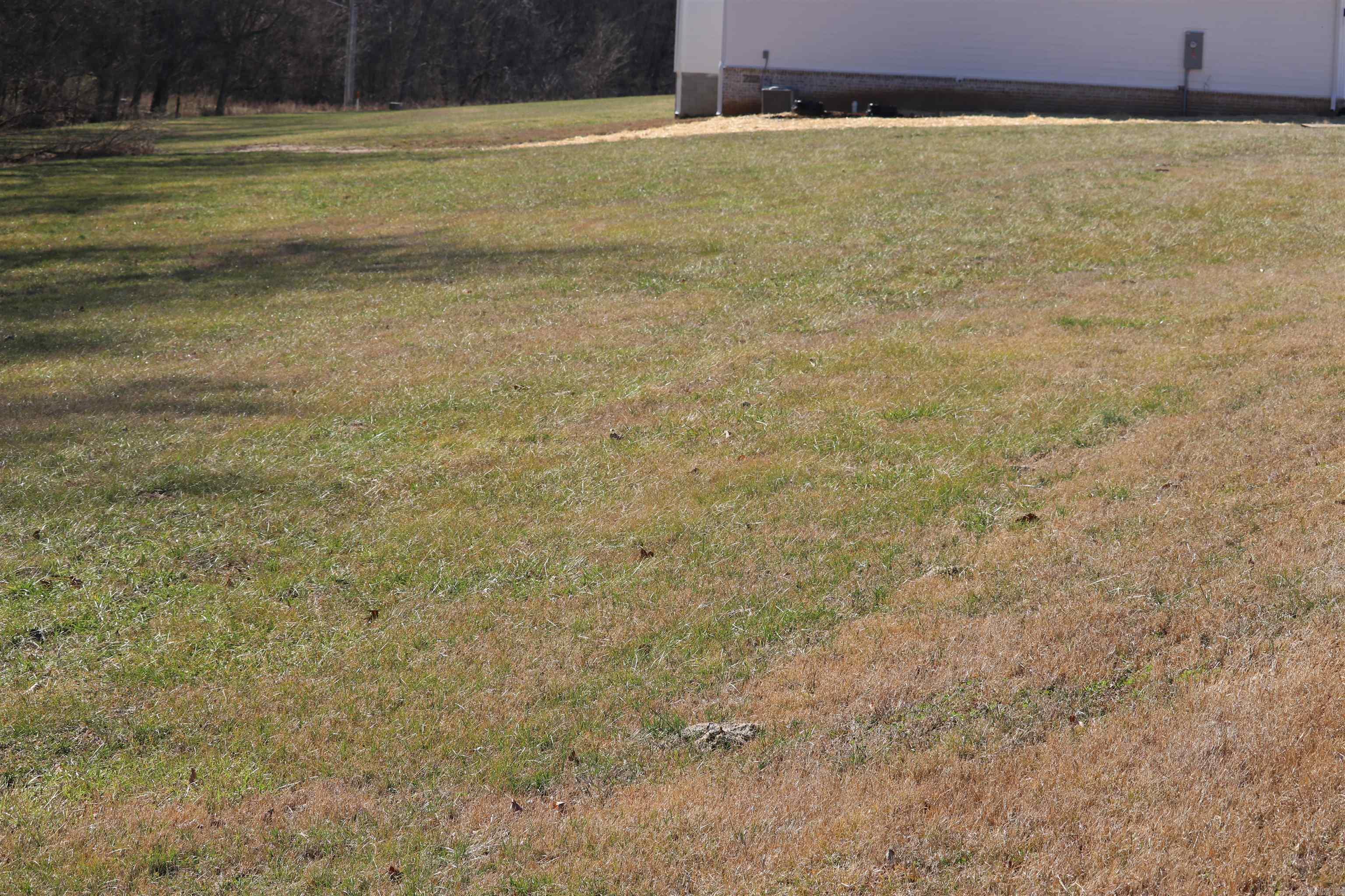 Lot 108  Cane Island  Flippin, AR