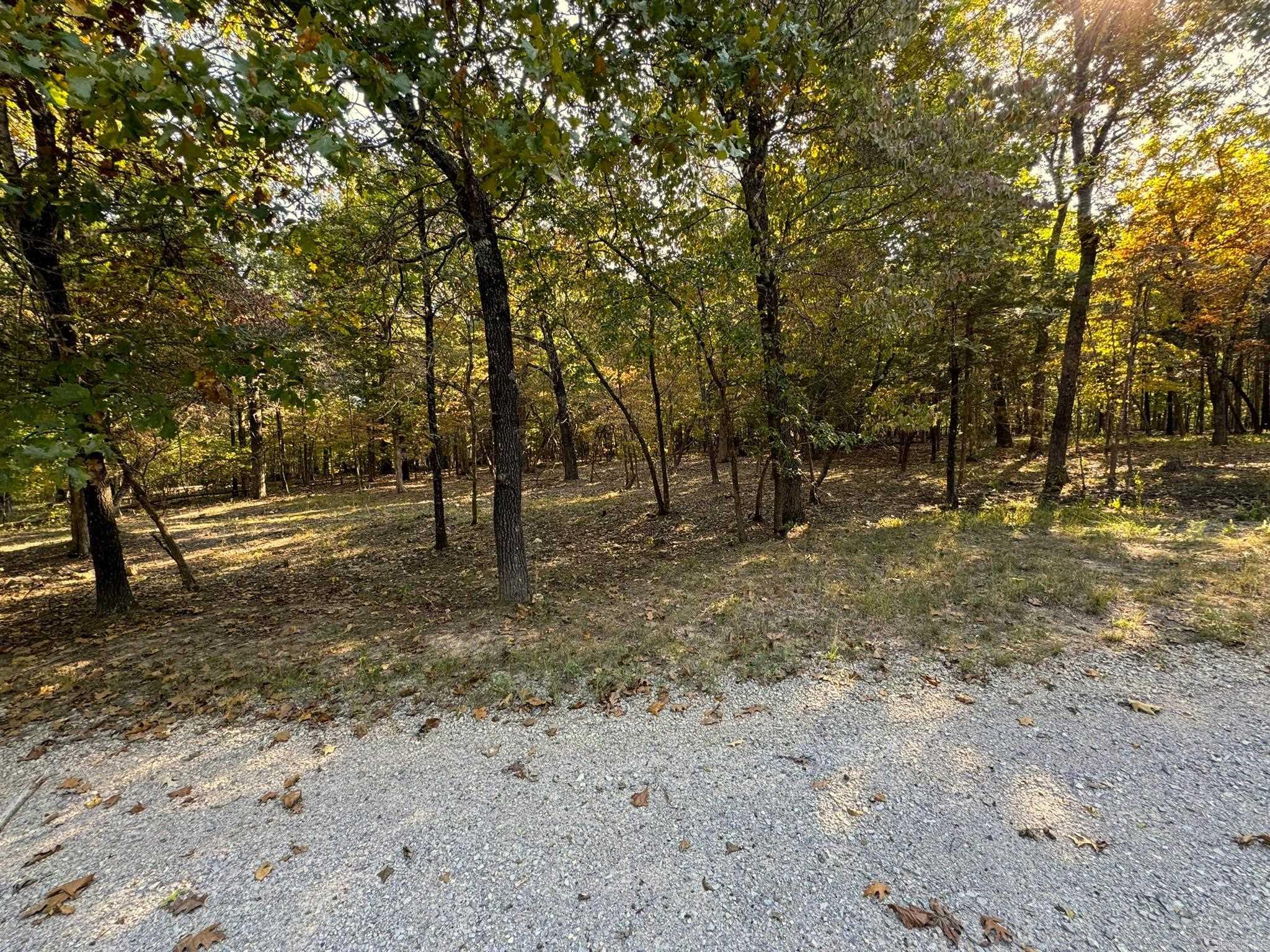 6990 Promise Land  Mountain Home, AR