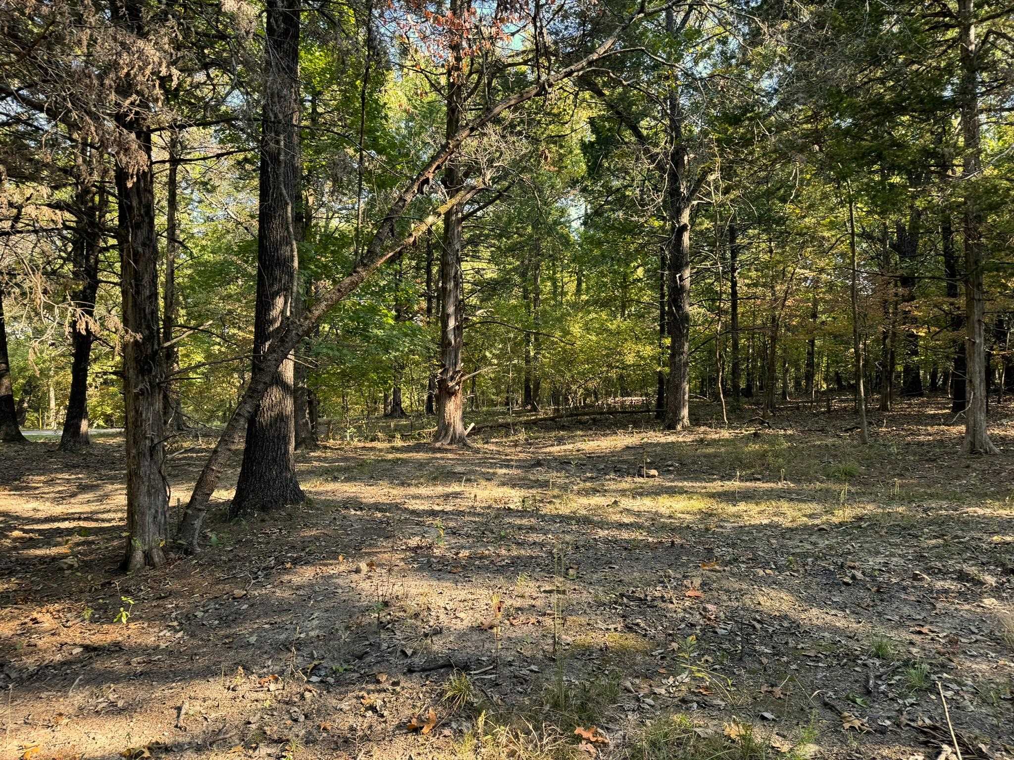 6990  Promise Land  Mountain Home, AR