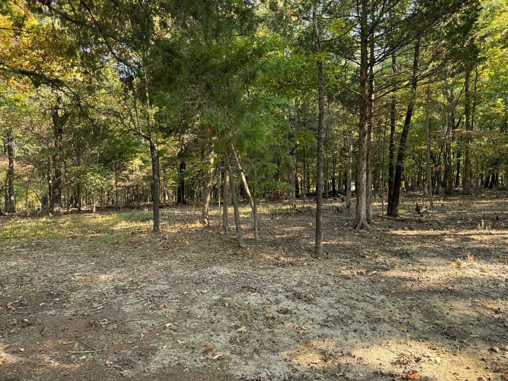 6990  Promise Land  Mountain Home, AR