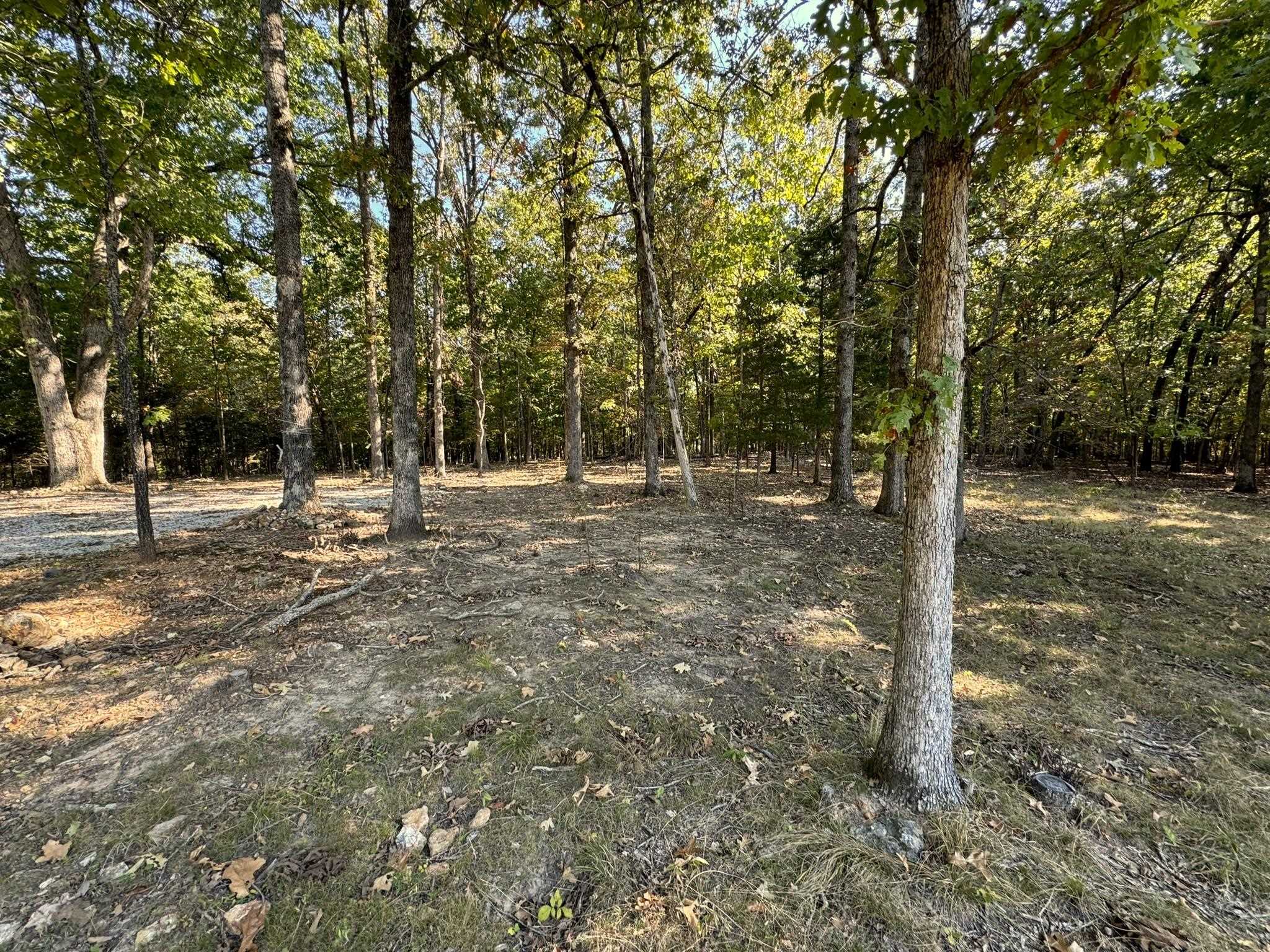 6990  Promise Land  Mountain Home, AR