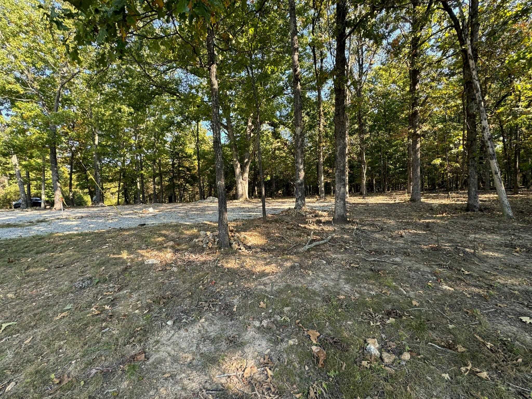 6990  Promise Land  Mountain Home, AR