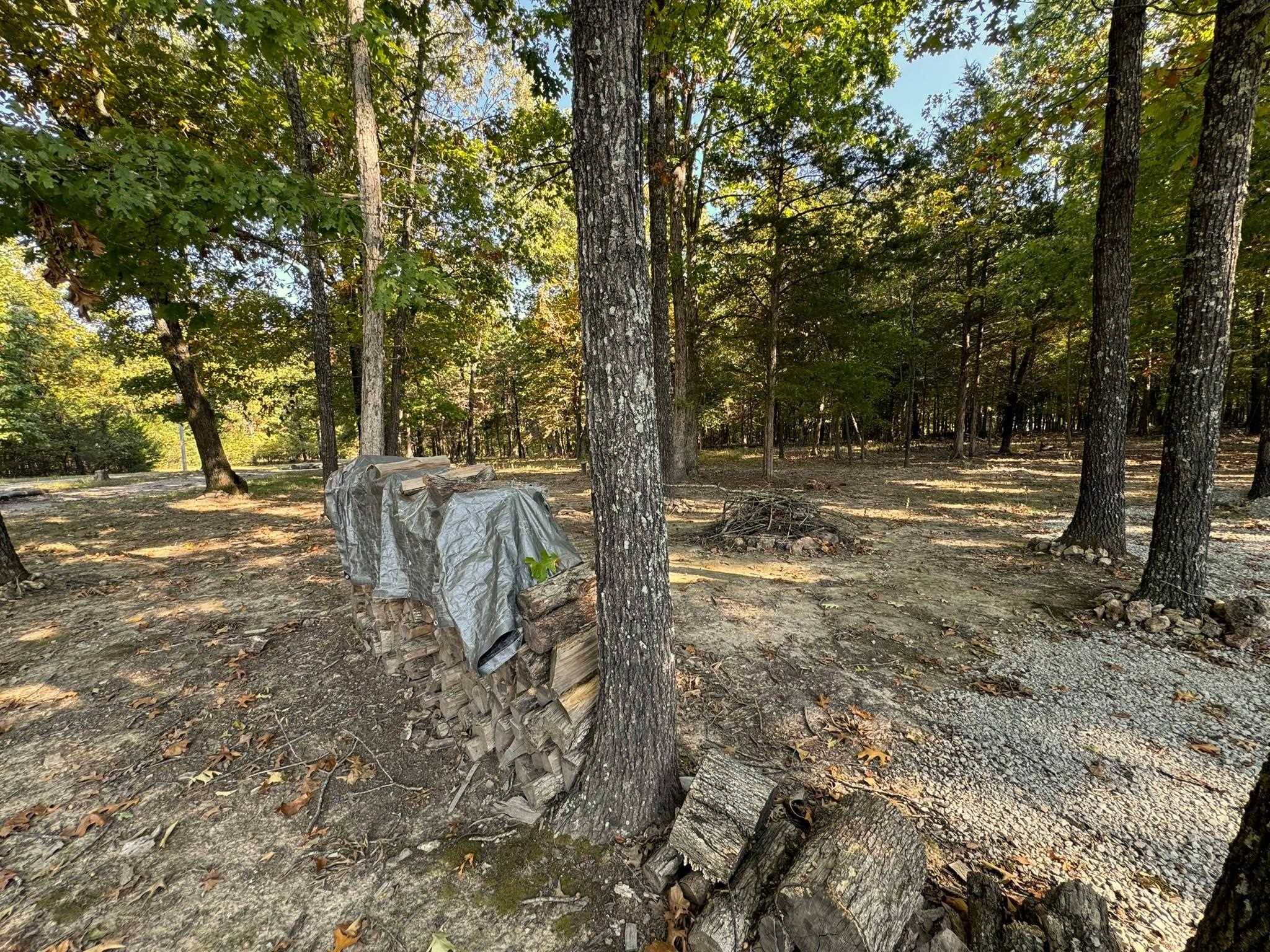 6990  Promise Land  Mountain Home, AR
