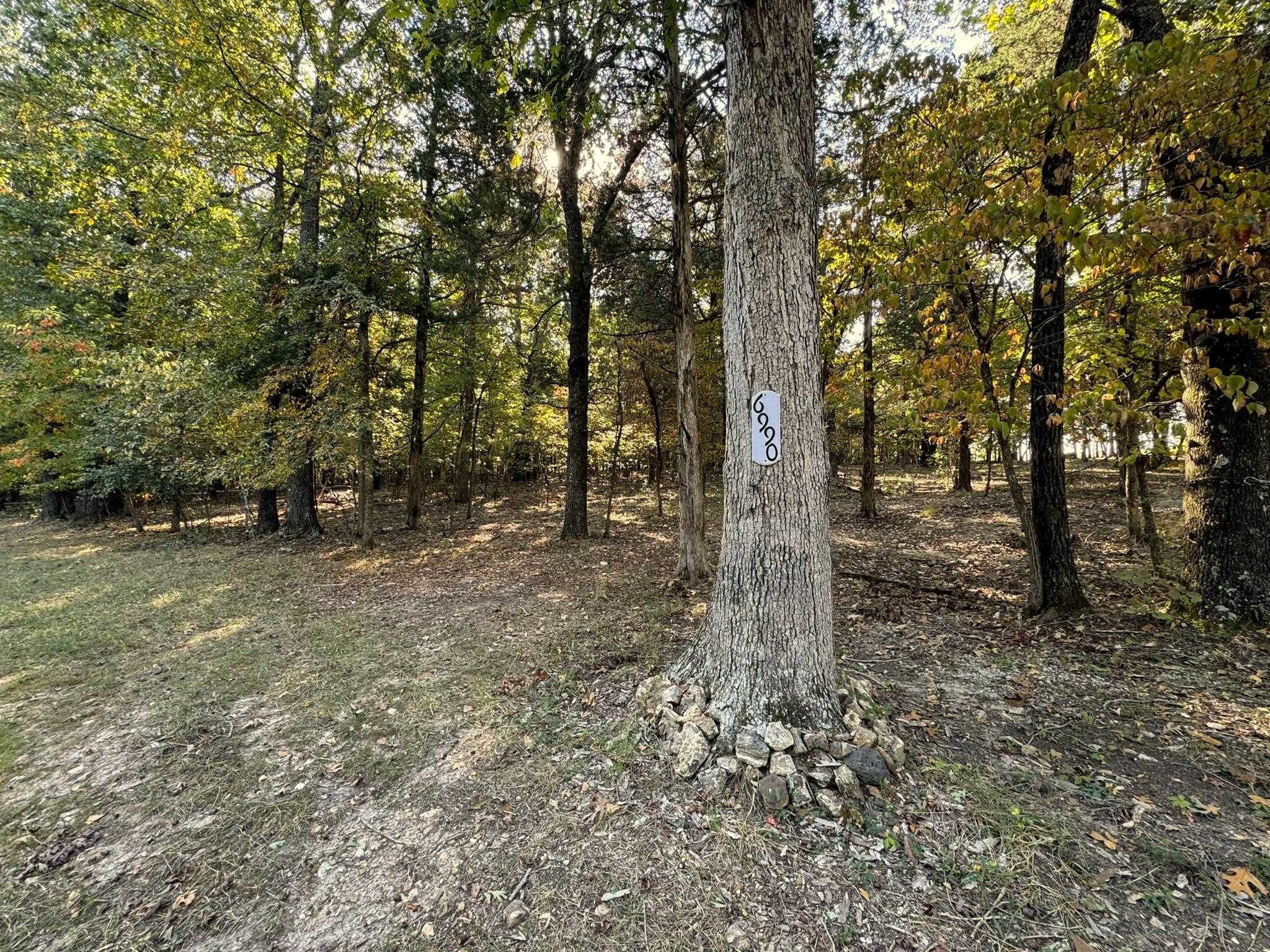 6990  Promise Land  Mountain Home, AR