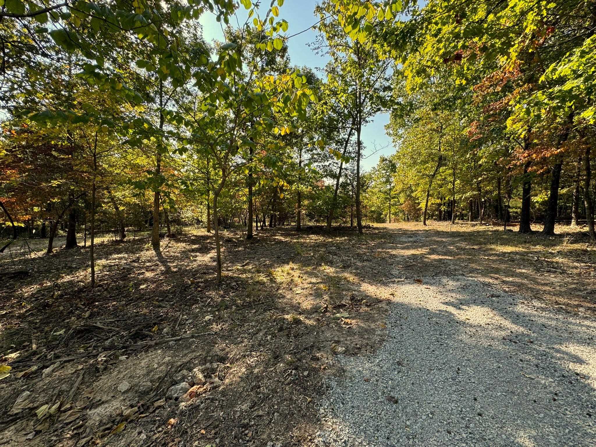 6990  Promise Land  Mountain Home, AR