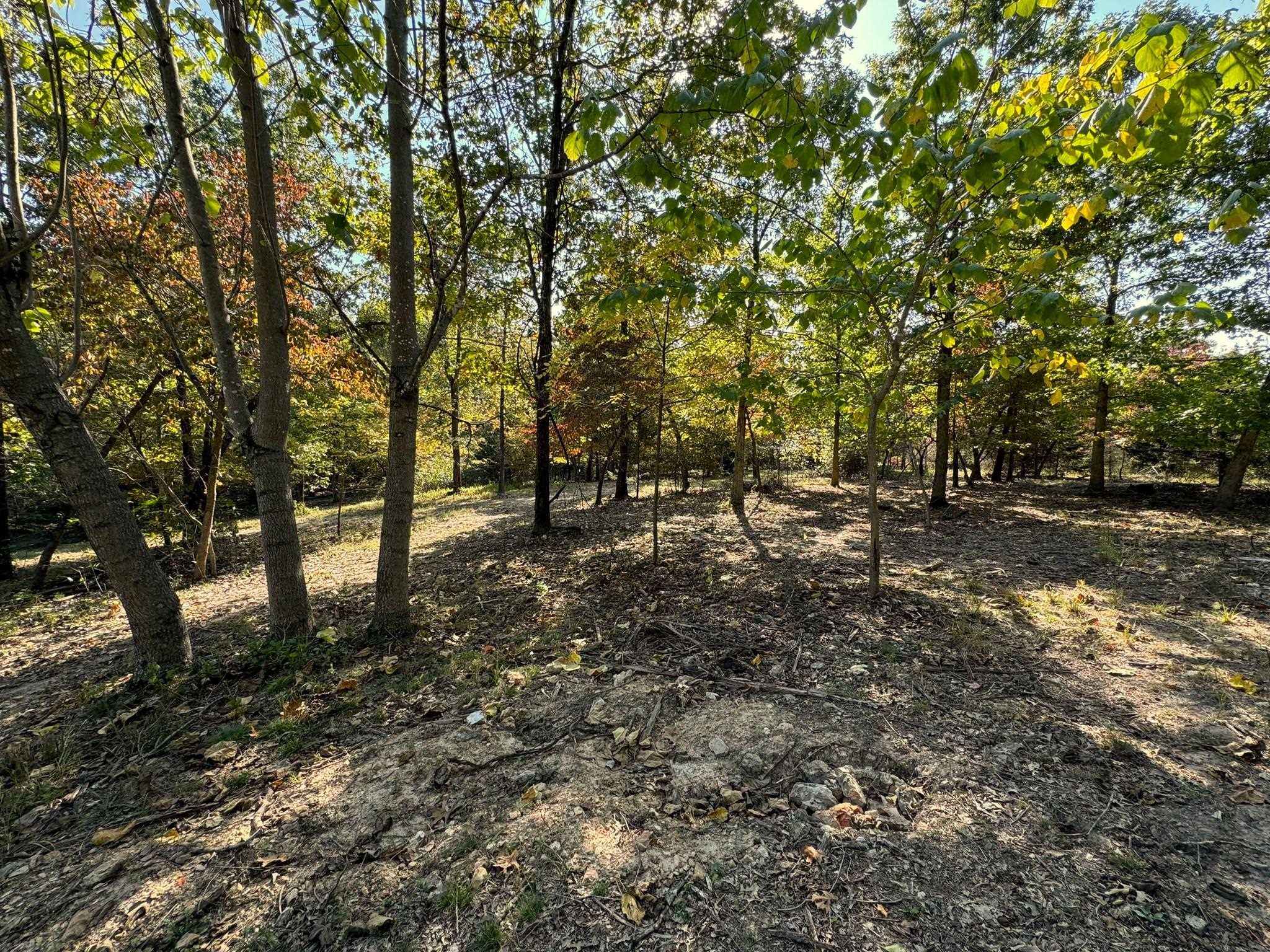 6990  Promise Land  Mountain Home, AR