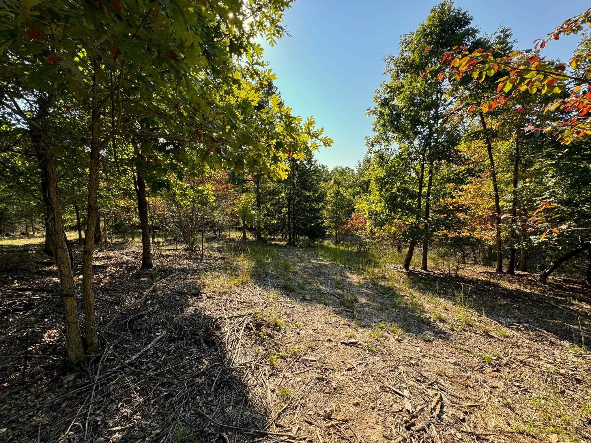 6990  Promise Land  Mountain Home, AR