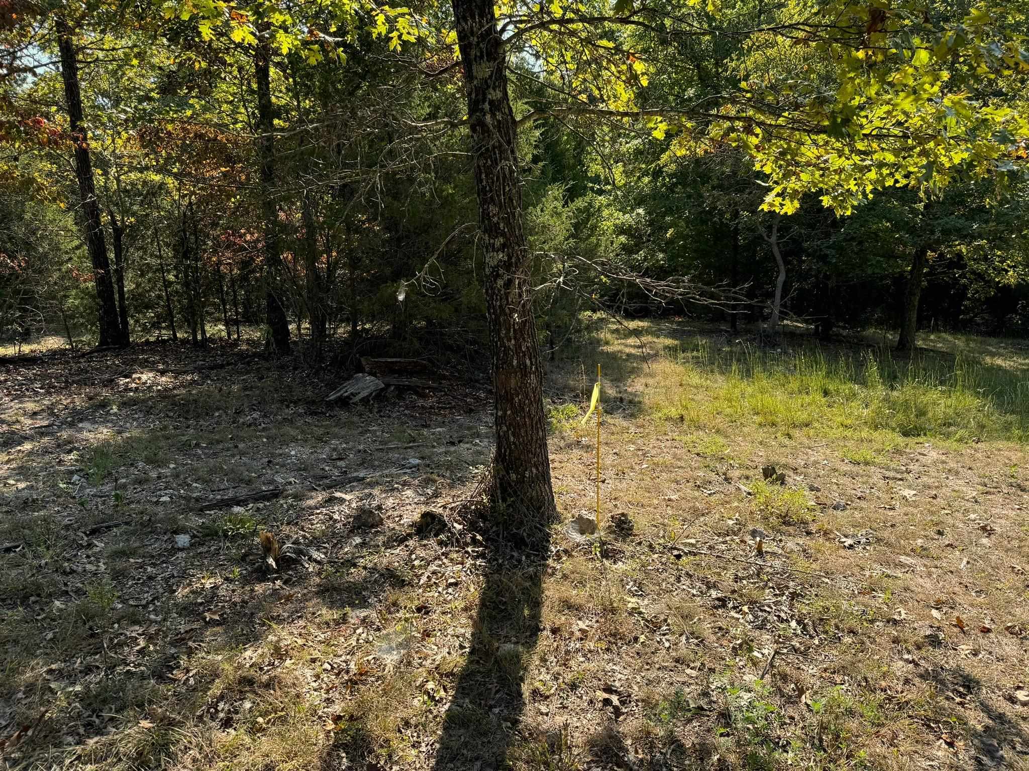 6990  Promise Land  Mountain Home, AR