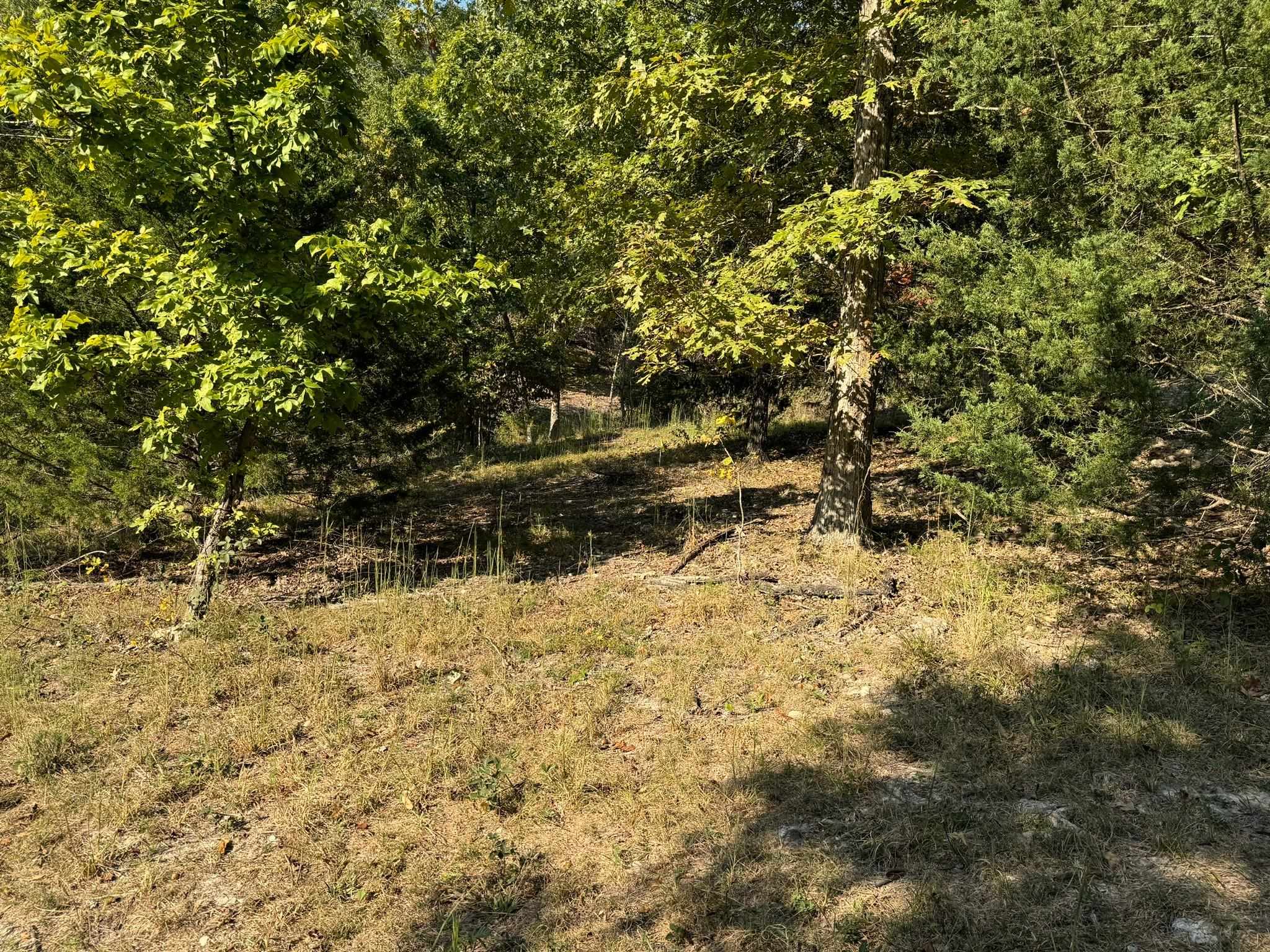 6990  Promise Land  Mountain Home, AR
