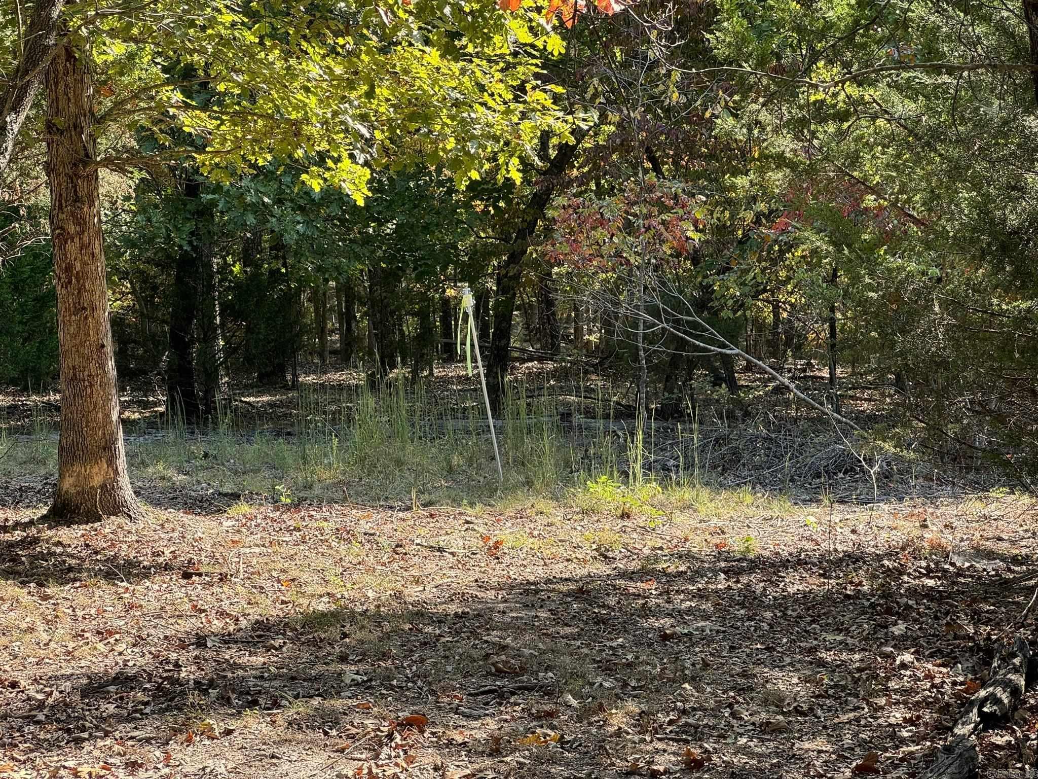 6990 Promise Land  Mountain Home, AR