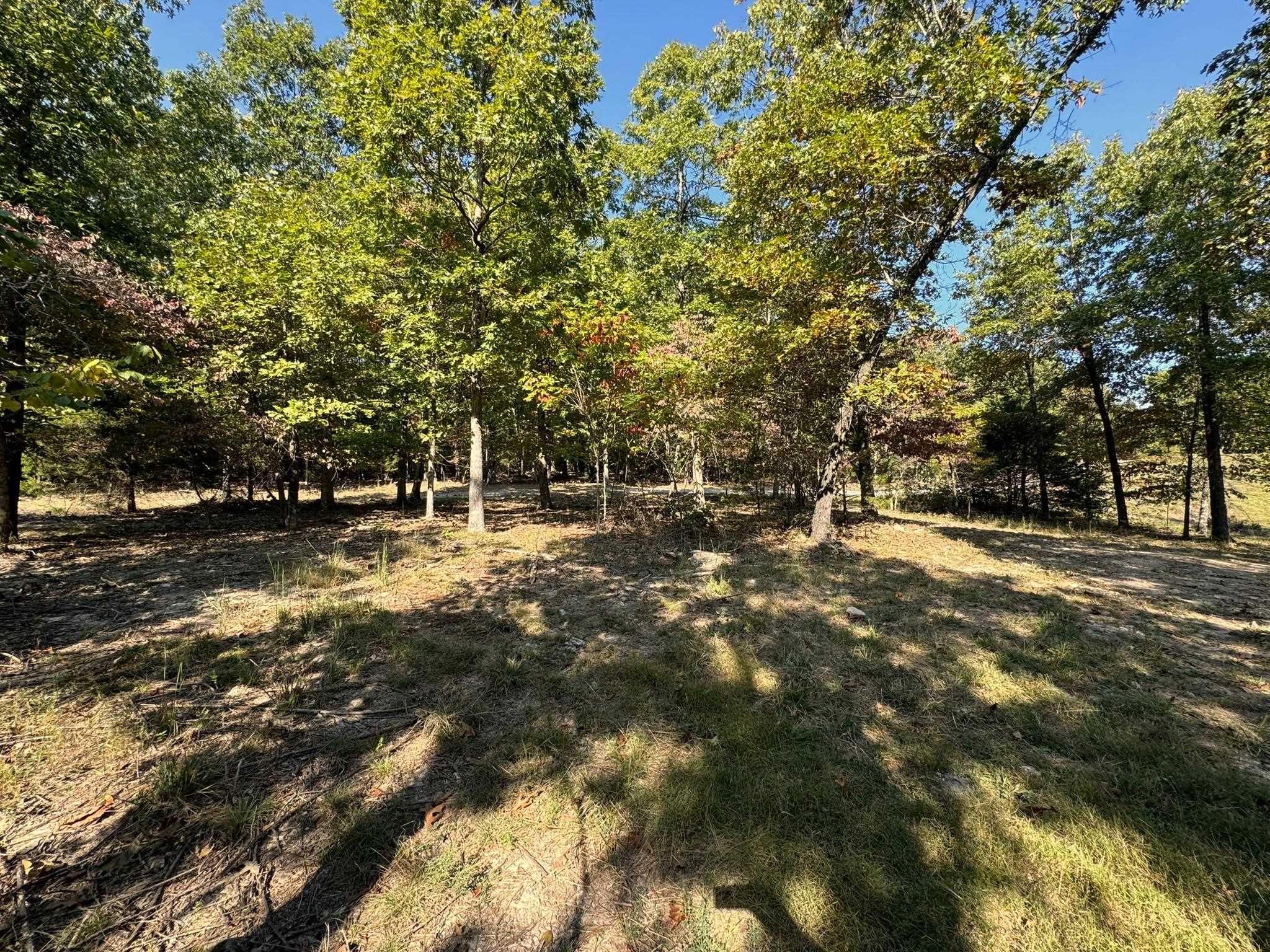6990  Promise Land  Mountain Home, AR