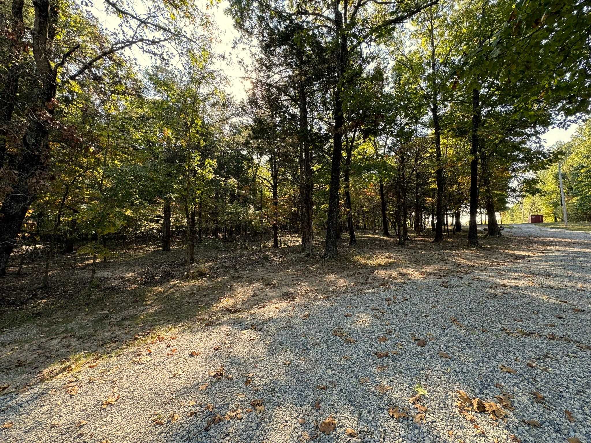 6990  Promise Land  Mountain Home, AR