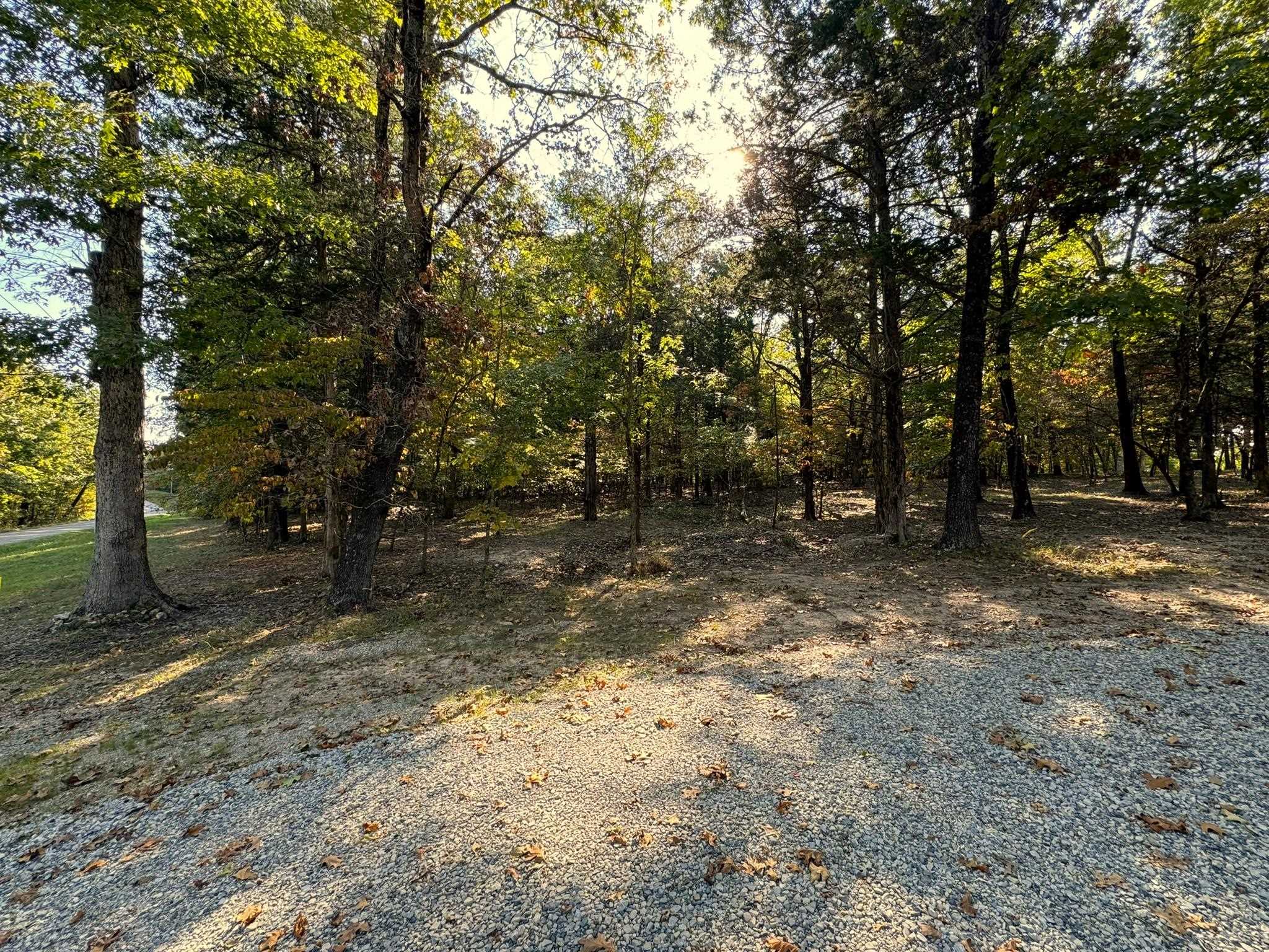6990  Promise Land  Mountain Home, AR