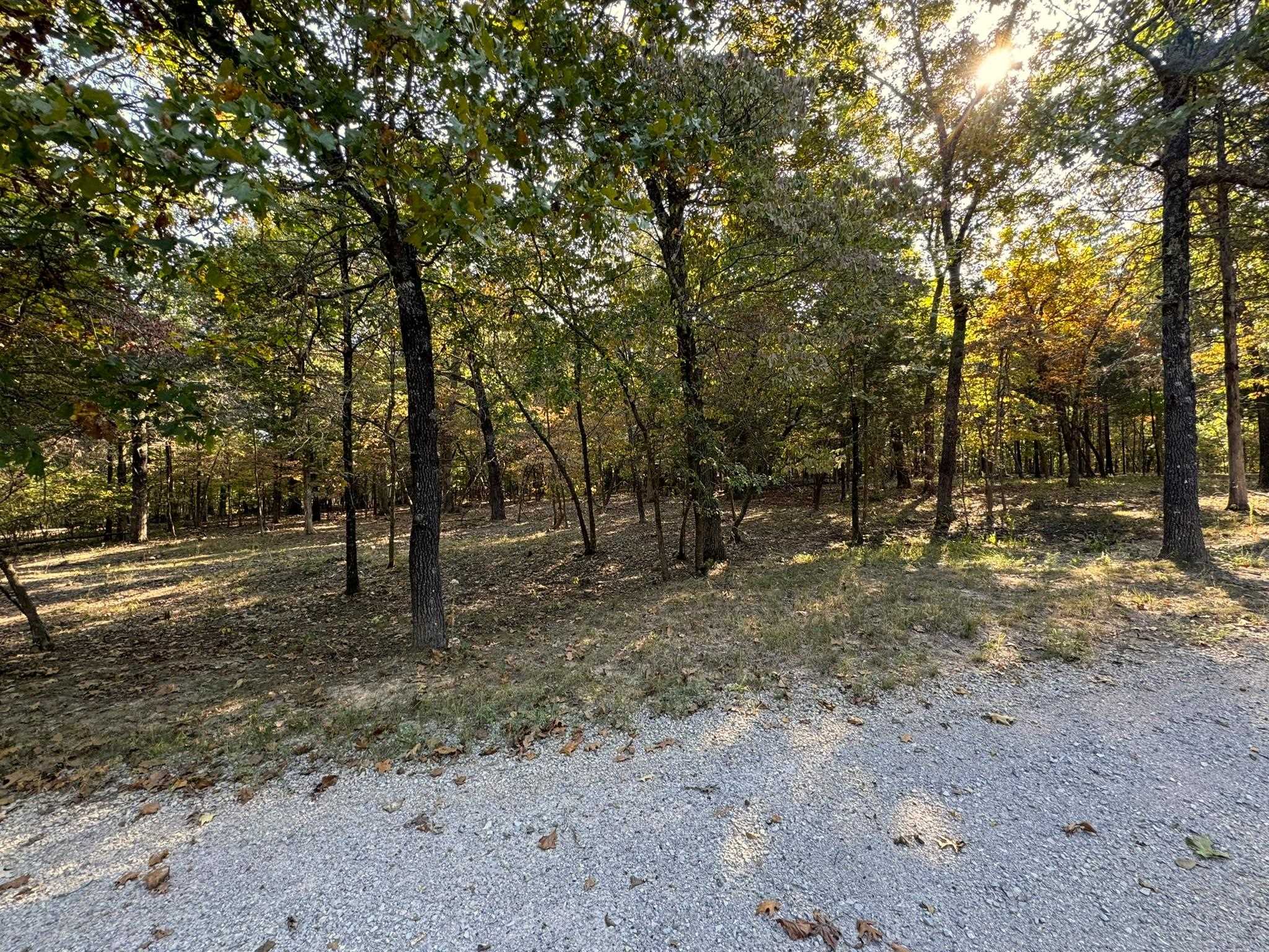 6990  Promise Land  Mountain Home, AR