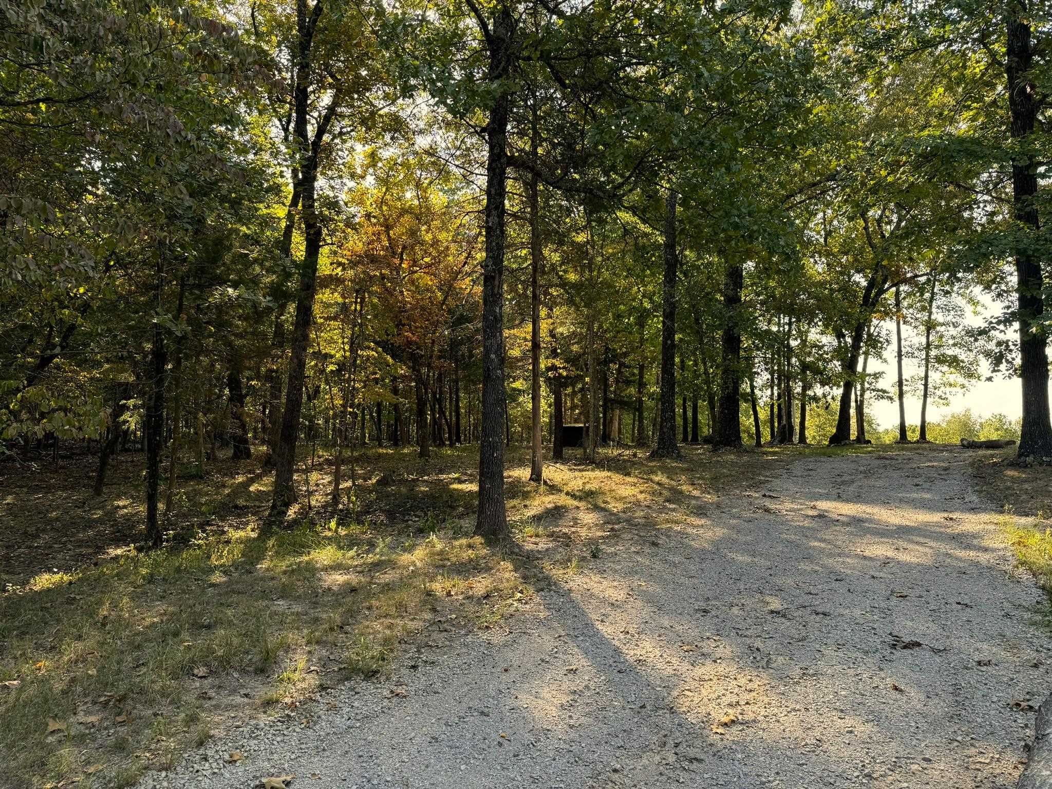 6990  Promise Land  Mountain Home, AR