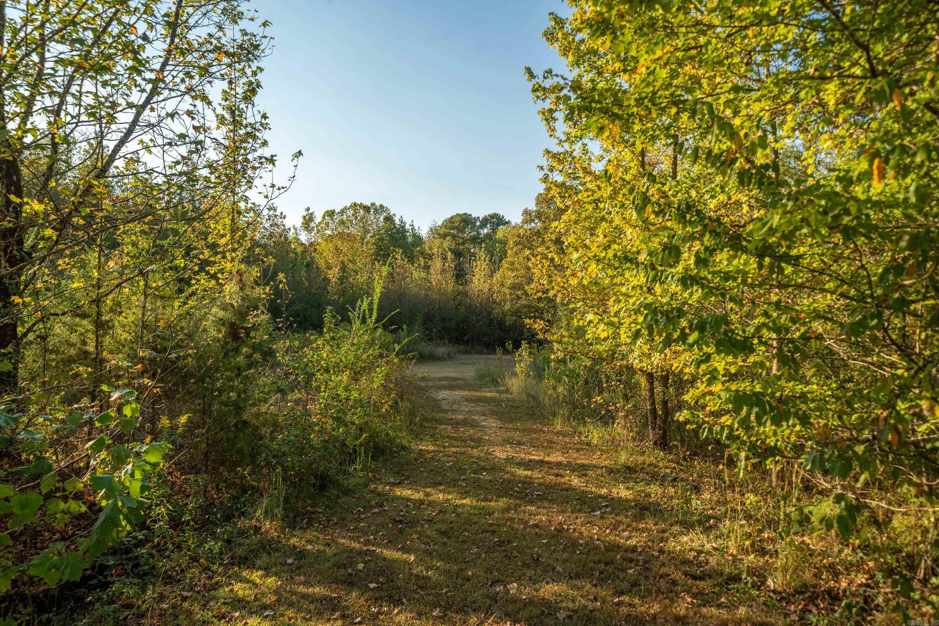 326  South  Mount Ida, AR