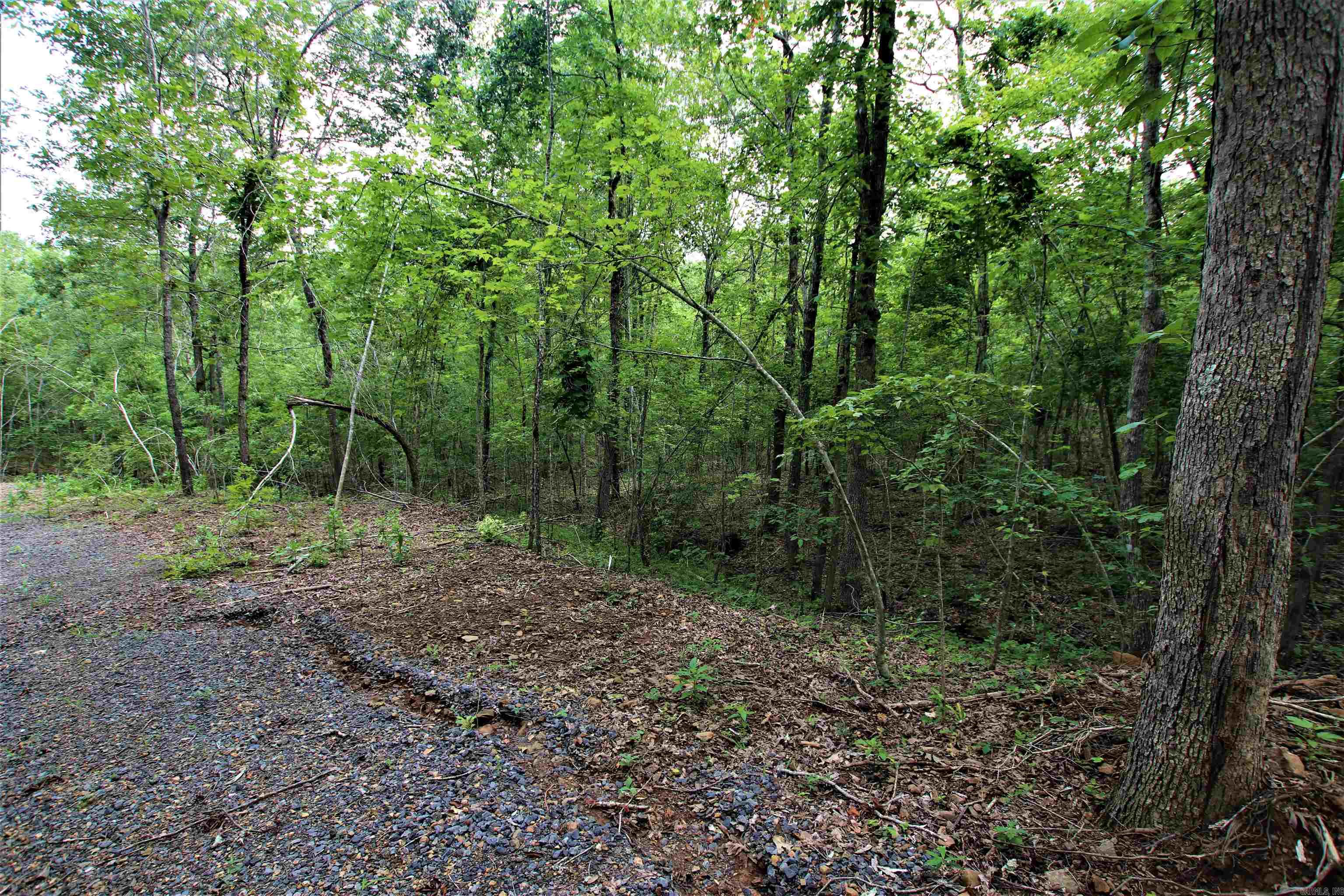 239  Mill Creek  Jerusalem, AR