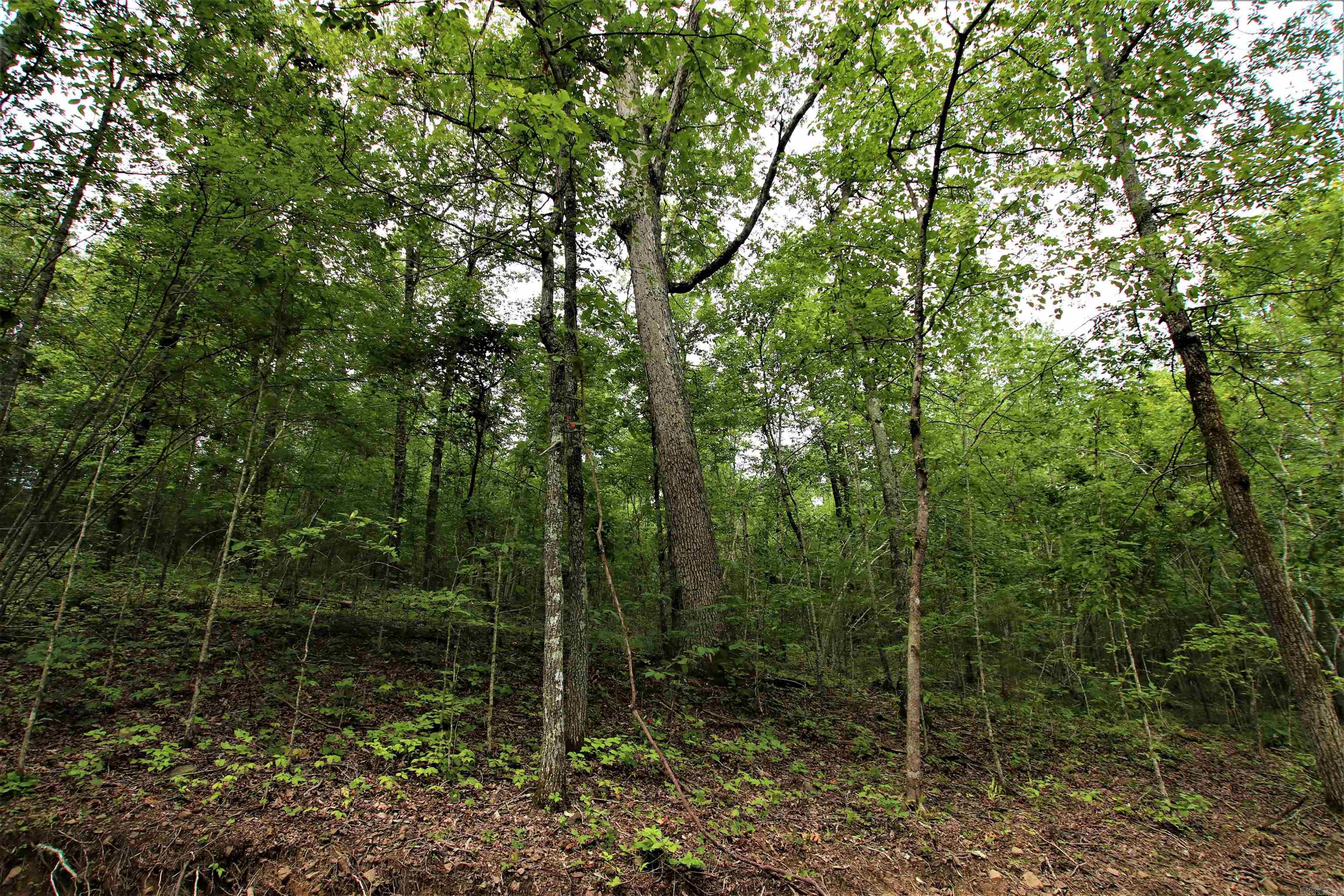 239  Mill Creek  Jerusalem, AR