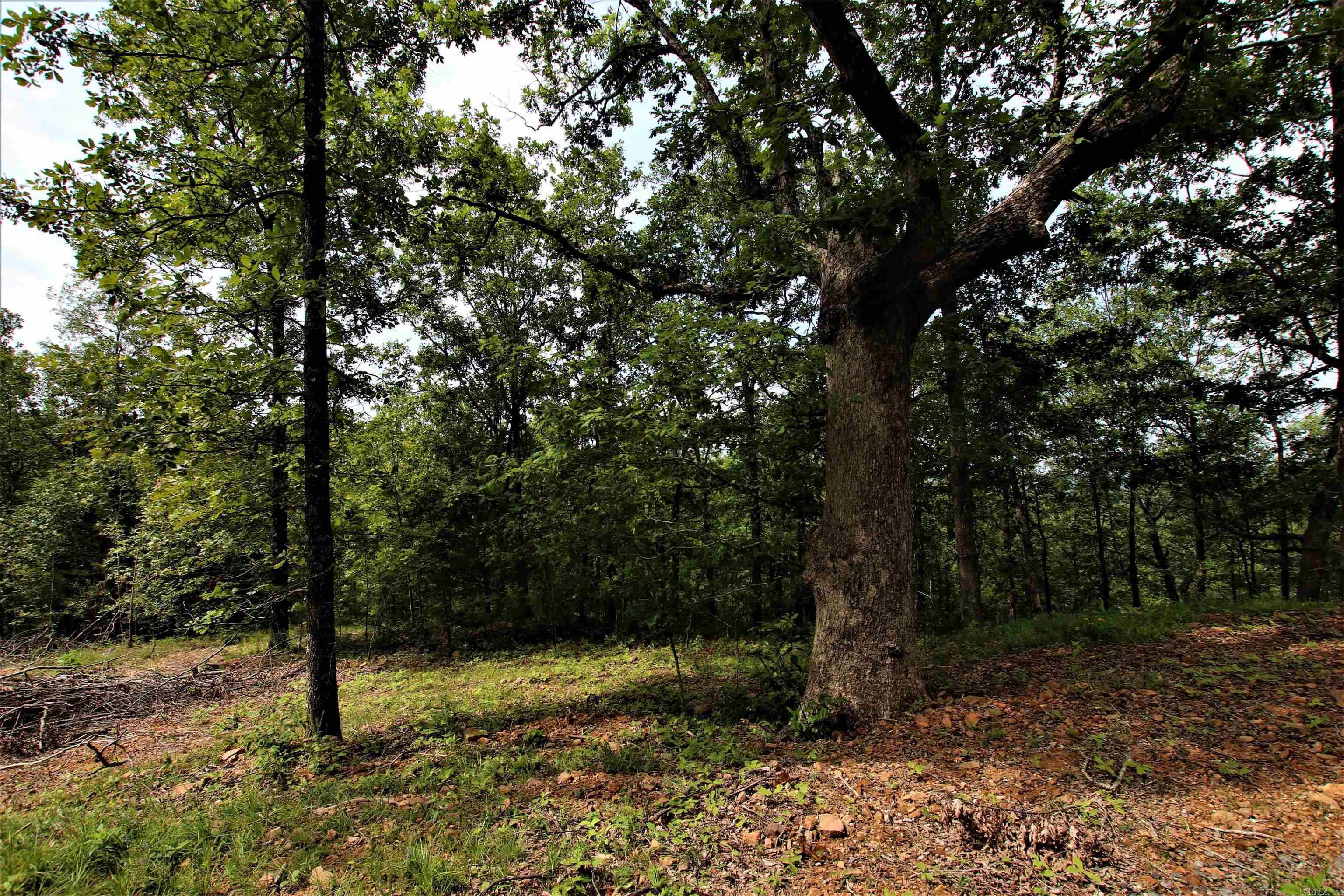 239  Mill Creek  Jerusalem, AR