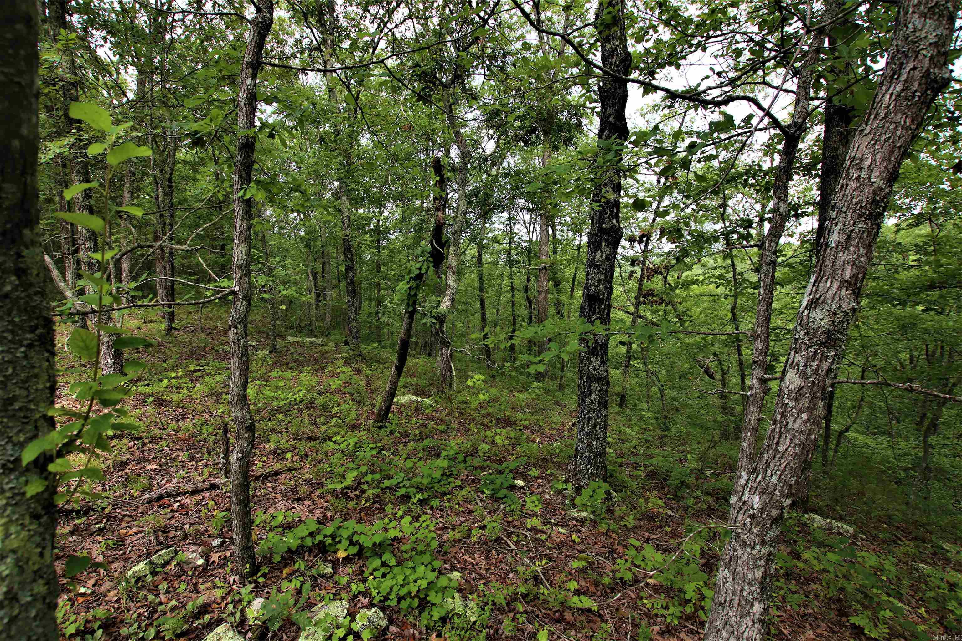 239  Mill Creek  Jerusalem, AR
