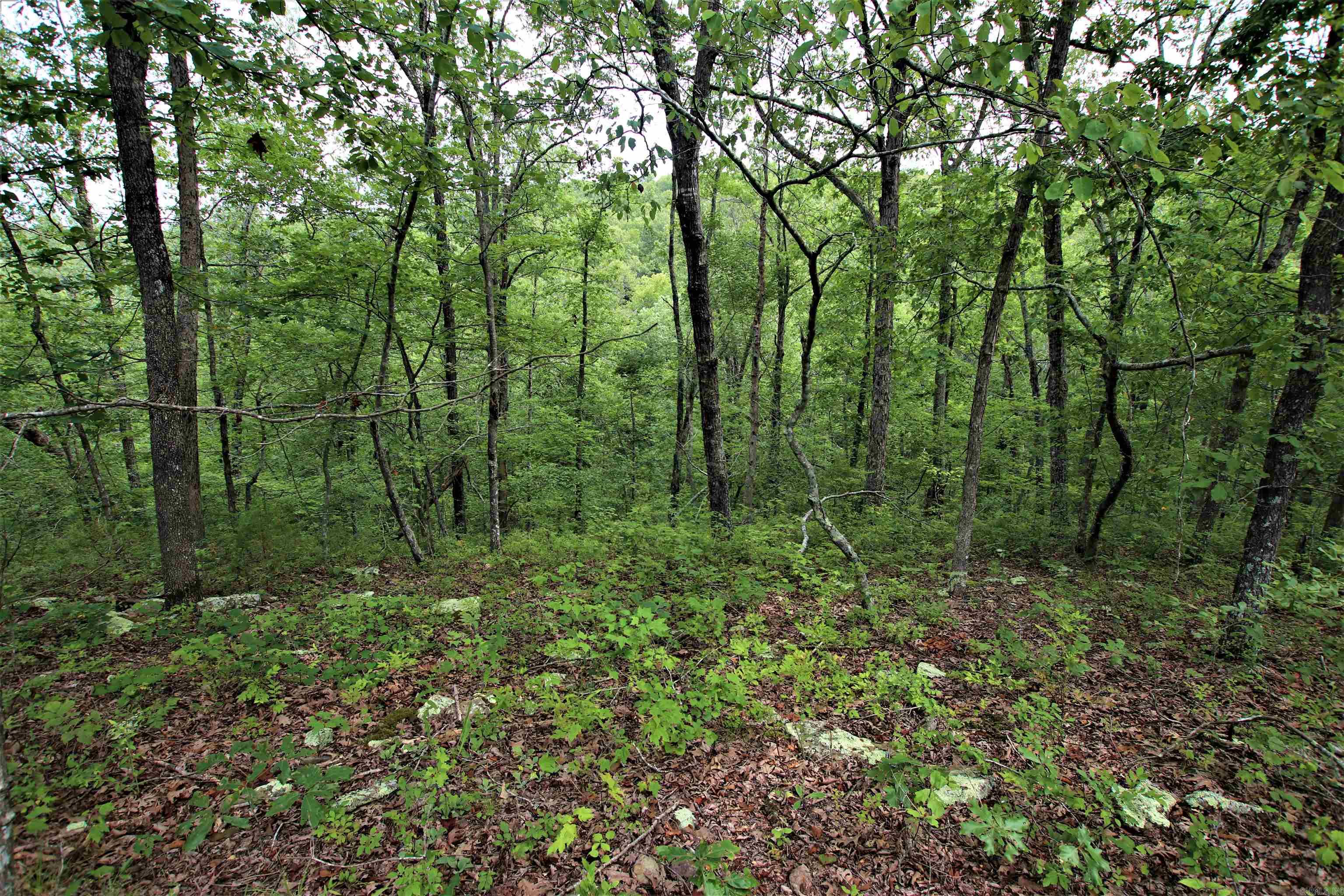 239  Mill Creek  Jerusalem, AR
