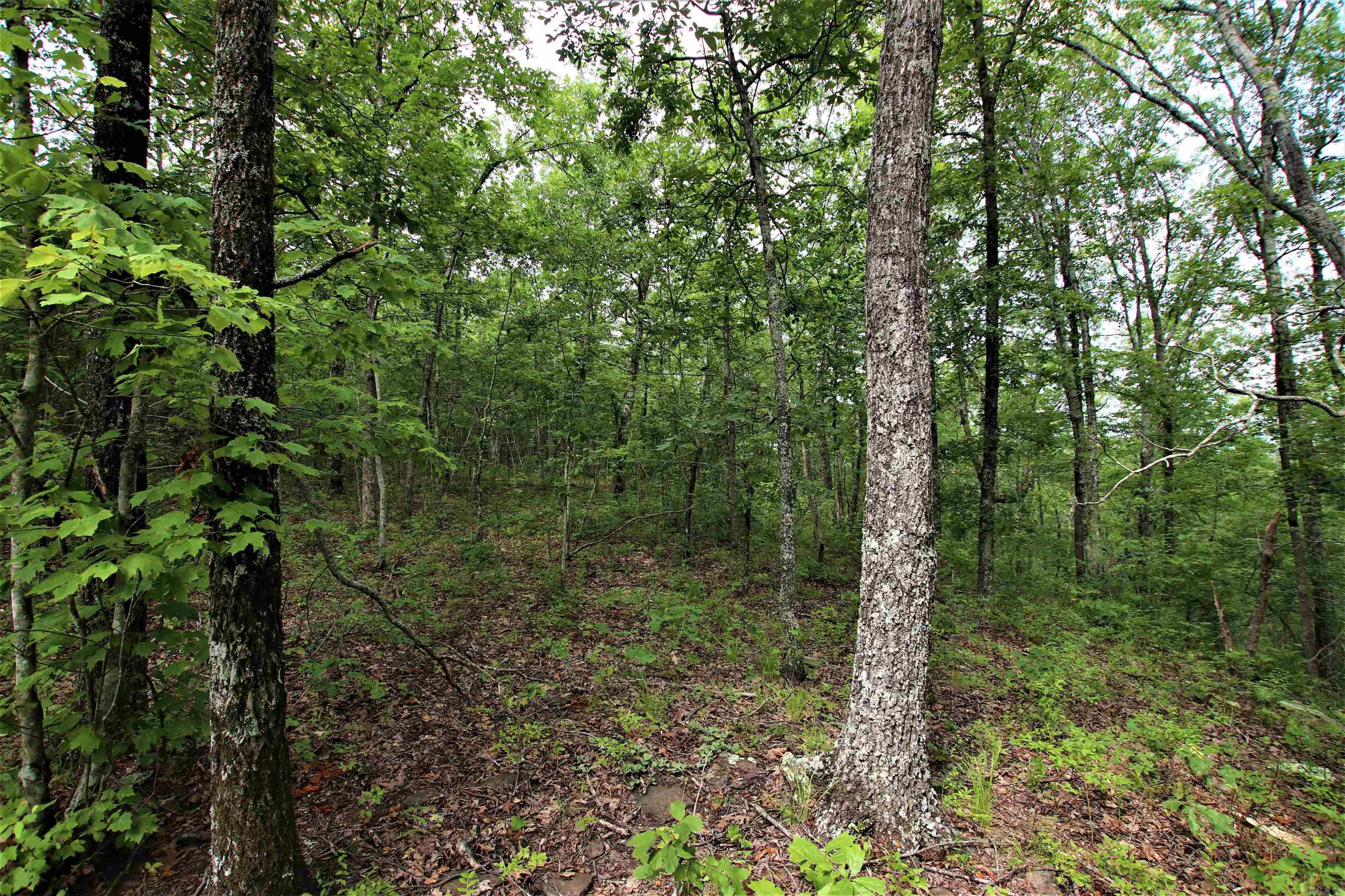239  Mill Creek  Jerusalem, AR