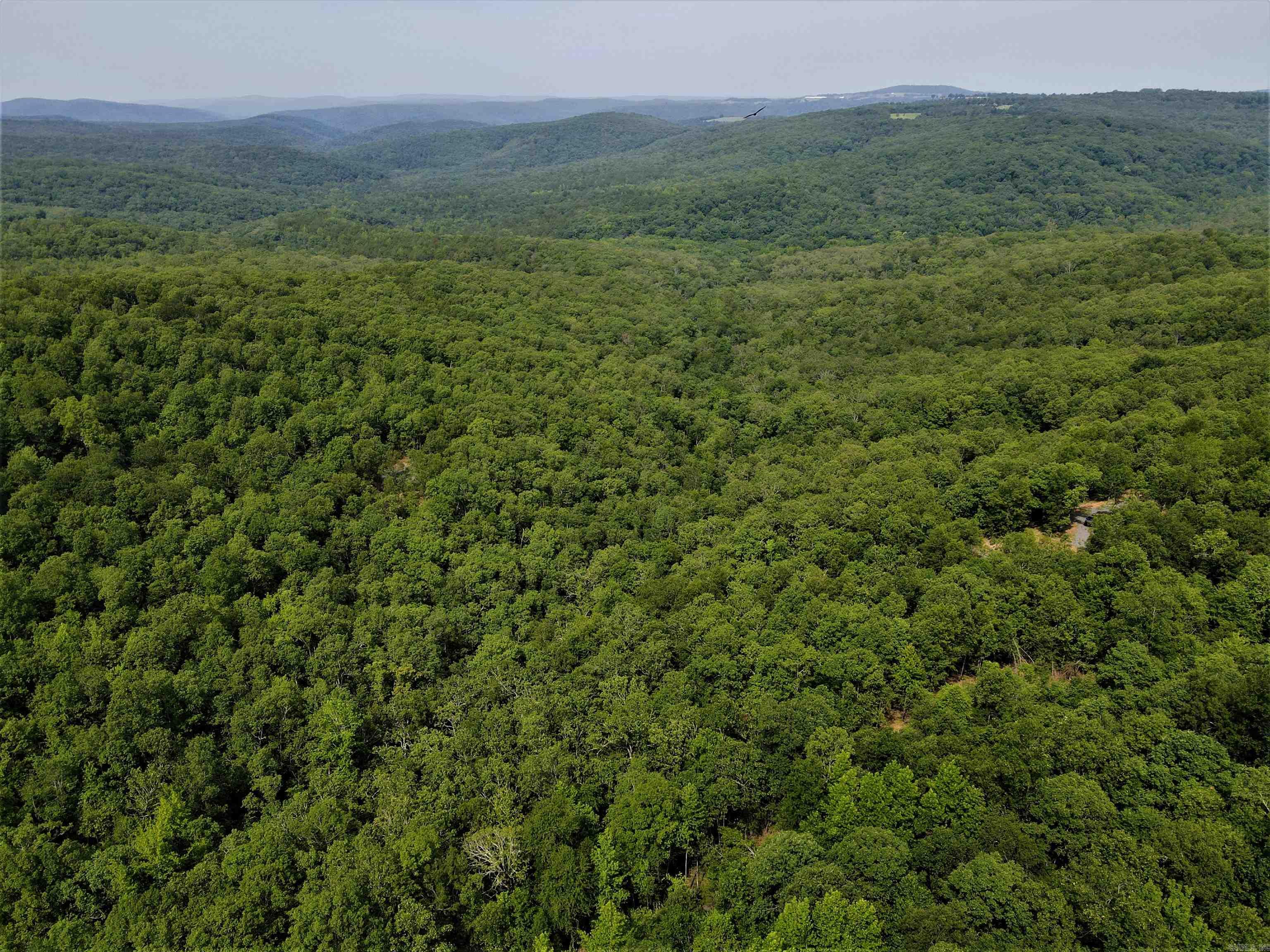 239  Mill Creek  Jerusalem, AR