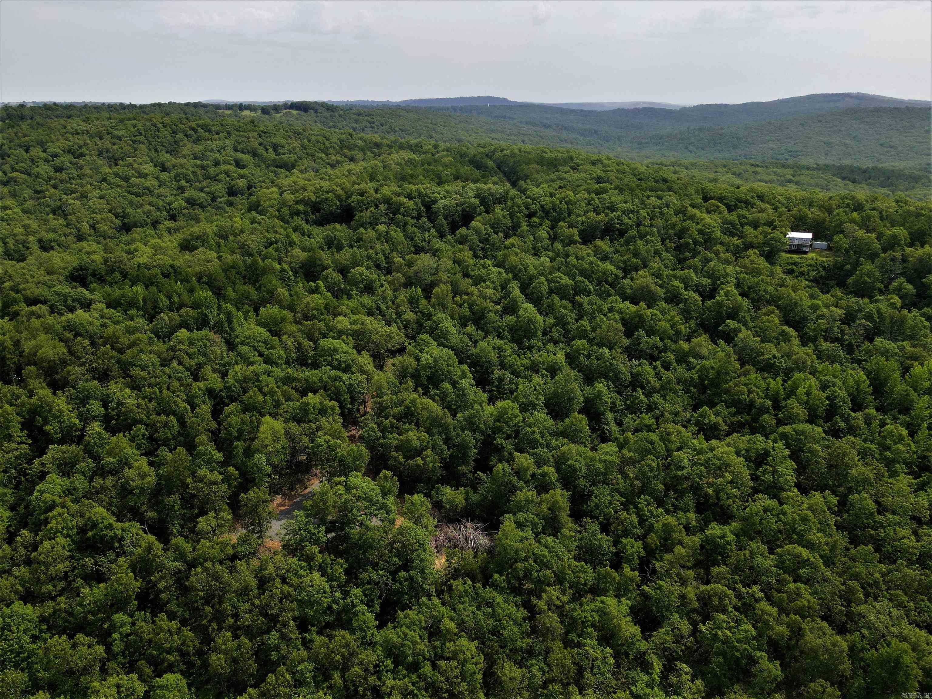 239  Mill Creek  Jerusalem, AR