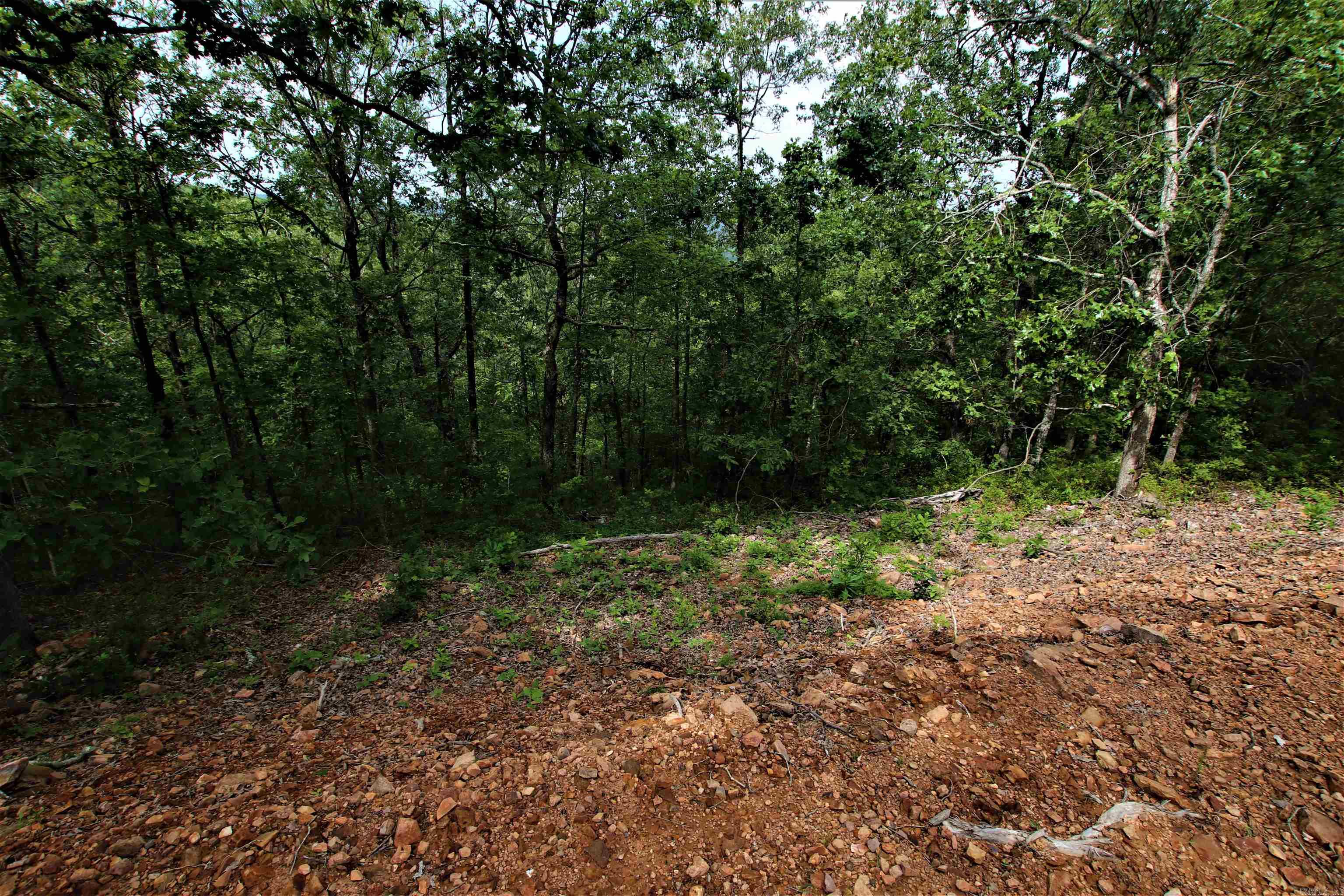 239  Mill Creek  Jerusalem, AR