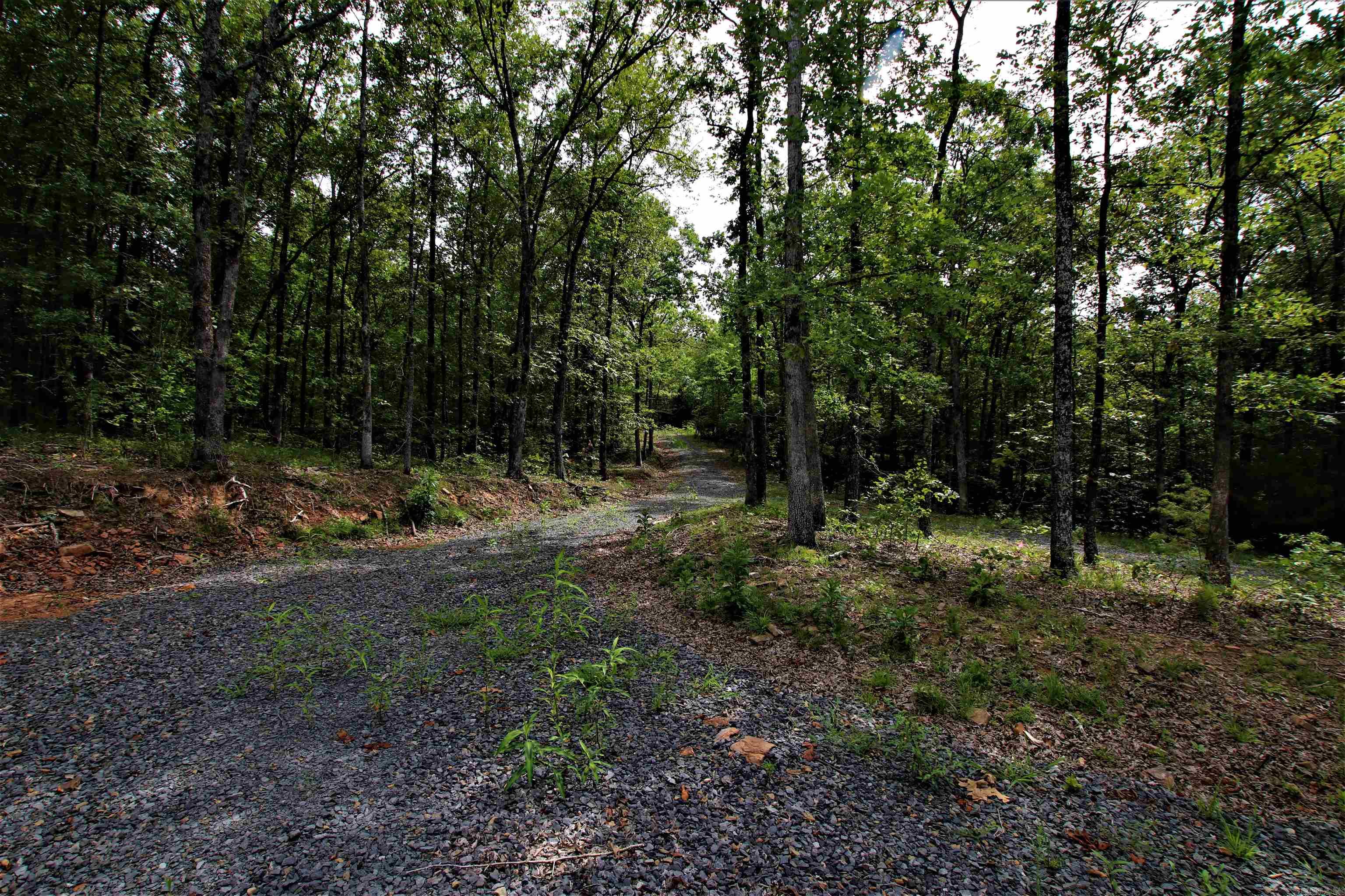 239  Mill Creek  Jerusalem, AR