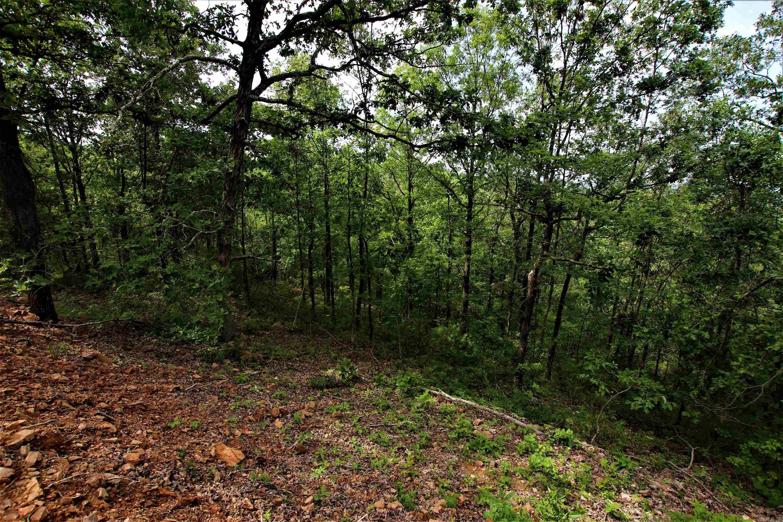 239  Mill Creek  Jerusalem, AR